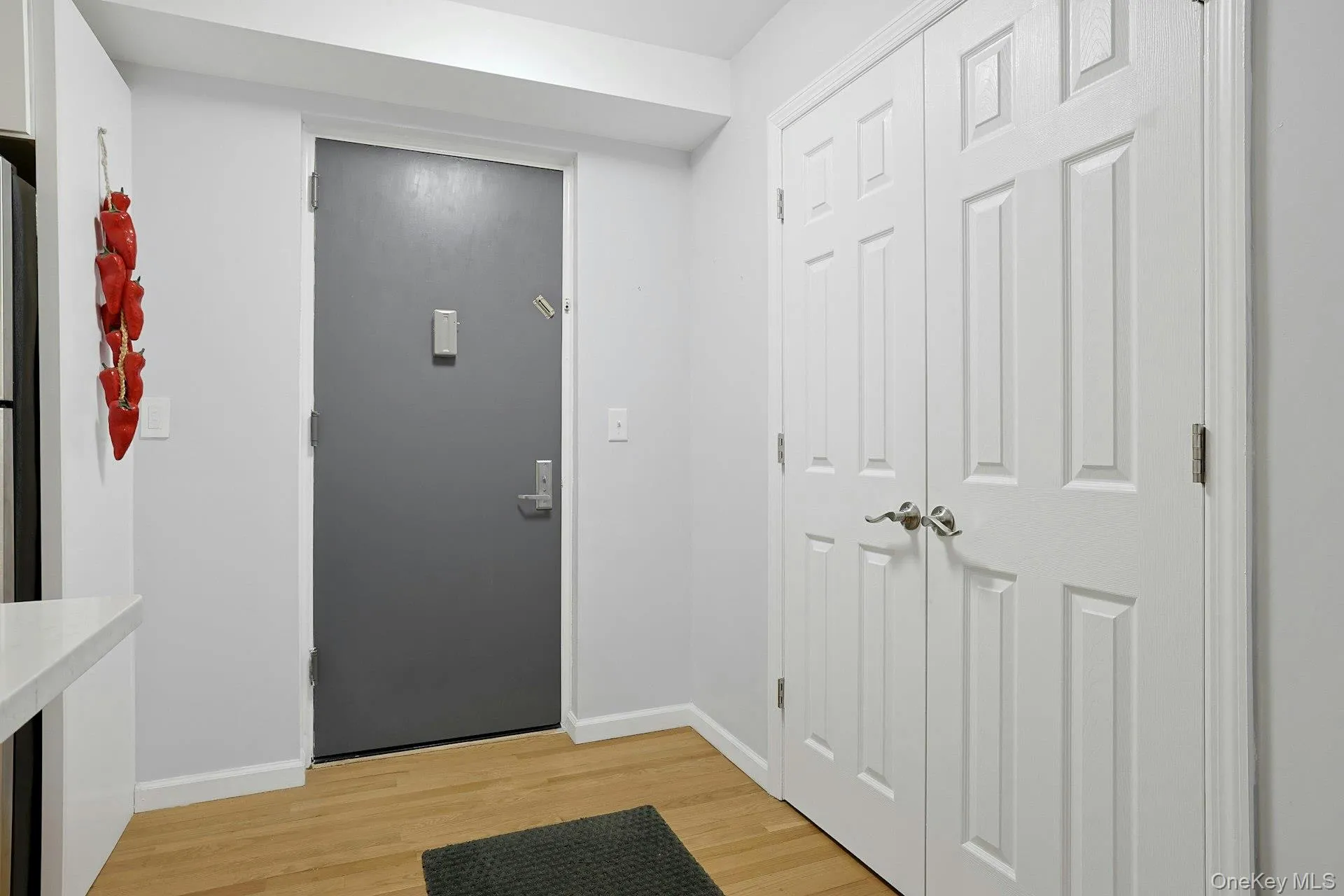 Front door opens to the kitchen and a large coat close with plenty of pantry storage. Front door opens to the kitchen and a large coat close with plenty of pantry storage.