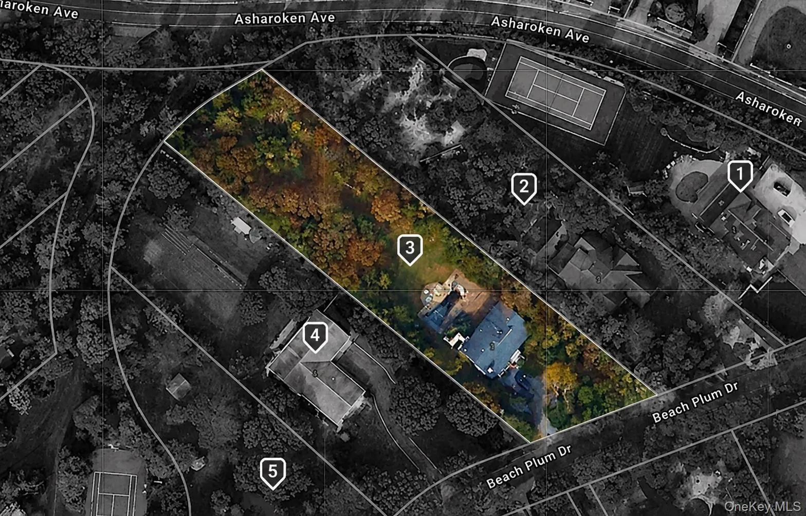 3 Beach Plum Drive, Huntington, NY, 5 Bedrooms Bedrooms, 8 Rooms Rooms,3 BathroomsBathrooms,Residential,For Rent,Beach Plum,0,1011892 3 Beach Plum Drive, Huntington, NY, 5 Bedrooms Bedrooms, 8 Rooms Rooms,3 BathroomsBathrooms,Residential,For Rent,Beach Plum,0,1011892
