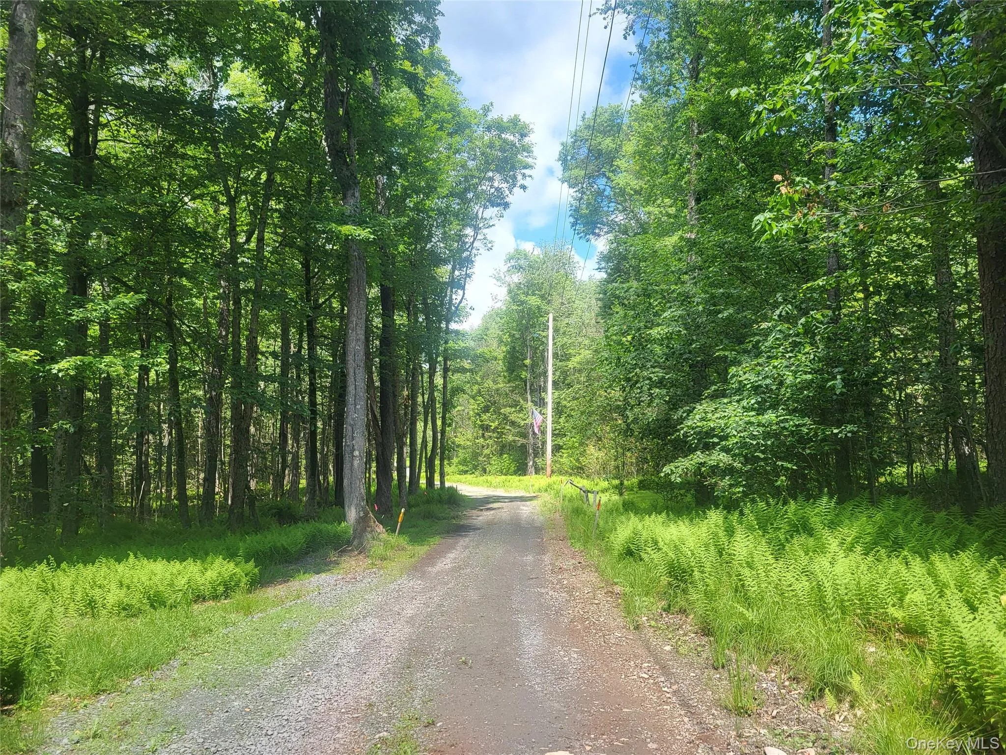 Road Road