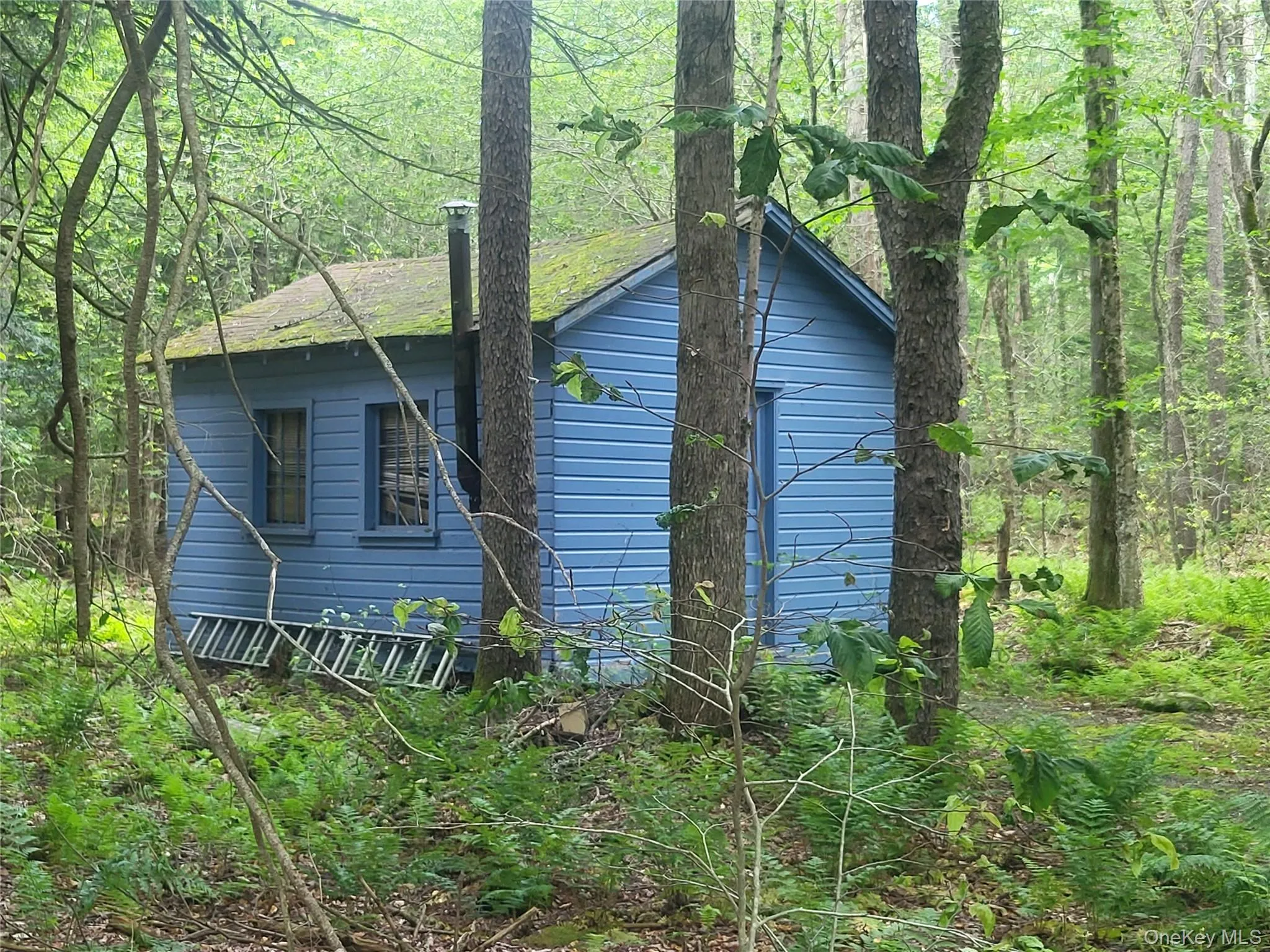 cottage cottage