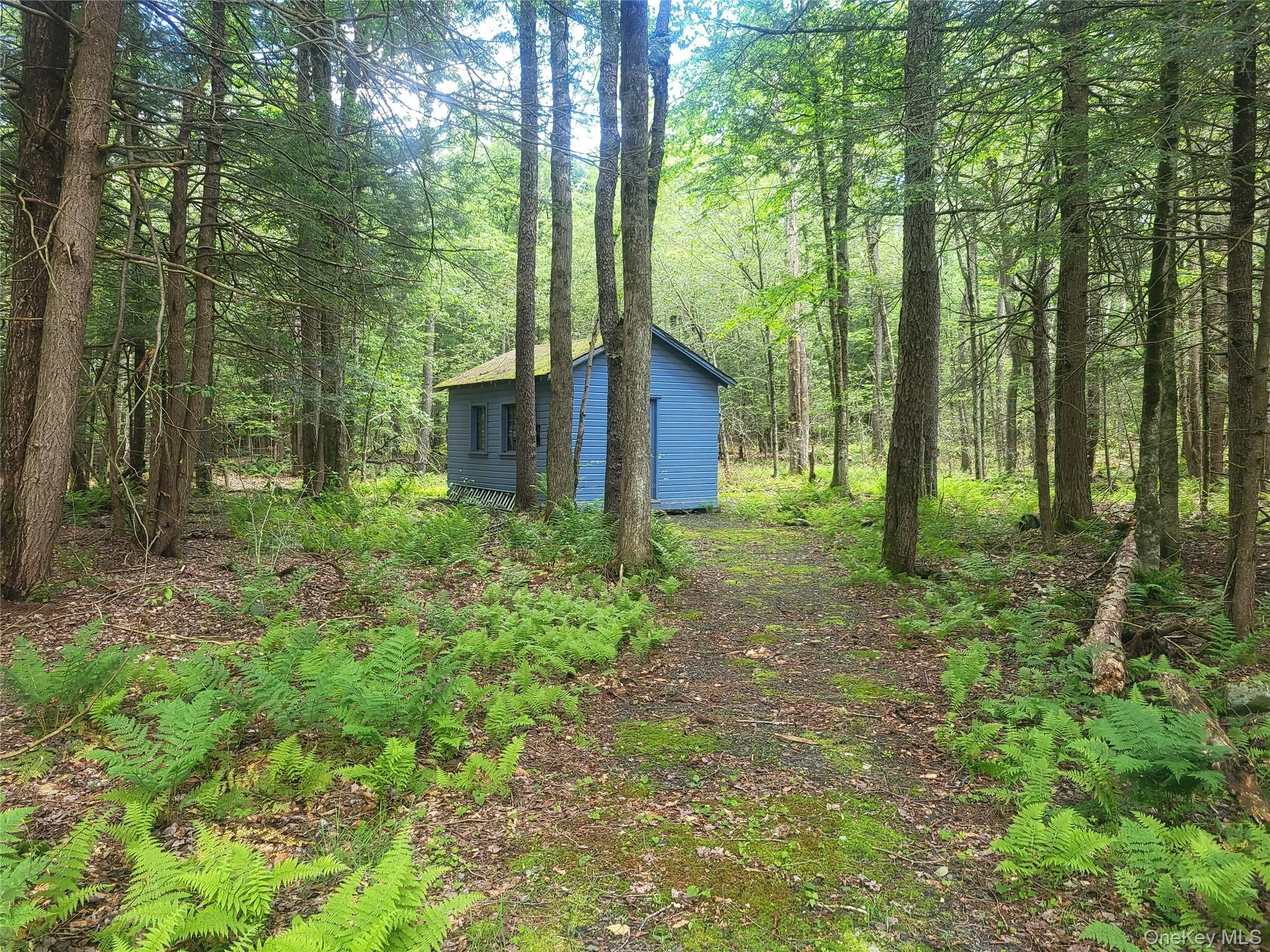 Cottage Cottage