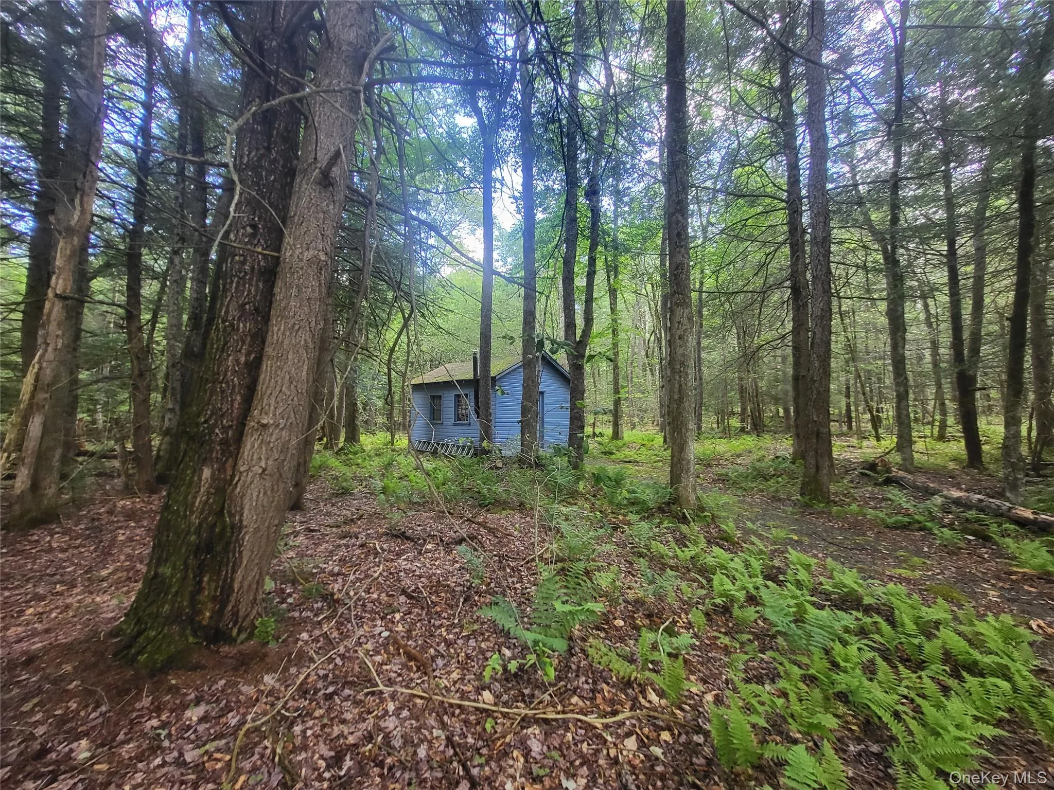 52 Log Road, Rockland, NY, 2 Bedrooms Bedrooms, 5 Rooms Rooms,1 BathroomBathrooms,Residential,For Rent,Log,0,1011911 52 Log Road, Rockland, NY, 2 Bedrooms Bedrooms, 5 Rooms Rooms,1 BathroomBathrooms,Residential,For Rent,Log,0,1011911