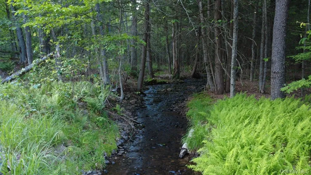 Stream Stream