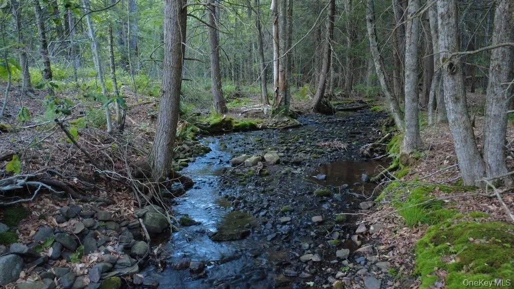 Stream Stream