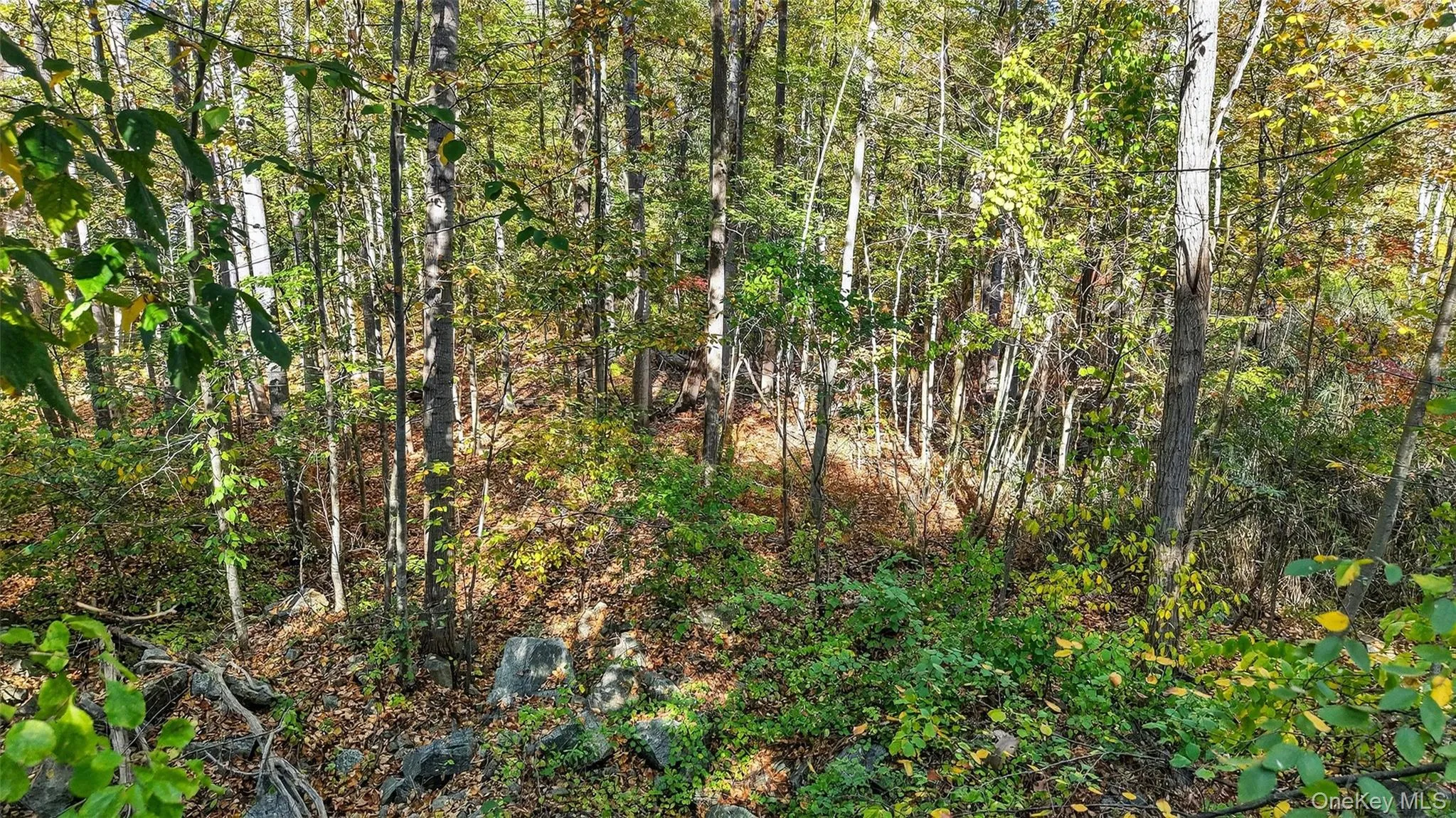 50 Winston Lane, Philipstown, NY, ,Land,For Rent,Winston,0,1011915 50 Winston Lane, Philipstown, NY, ,Land,For Rent,Winston,0,1011915