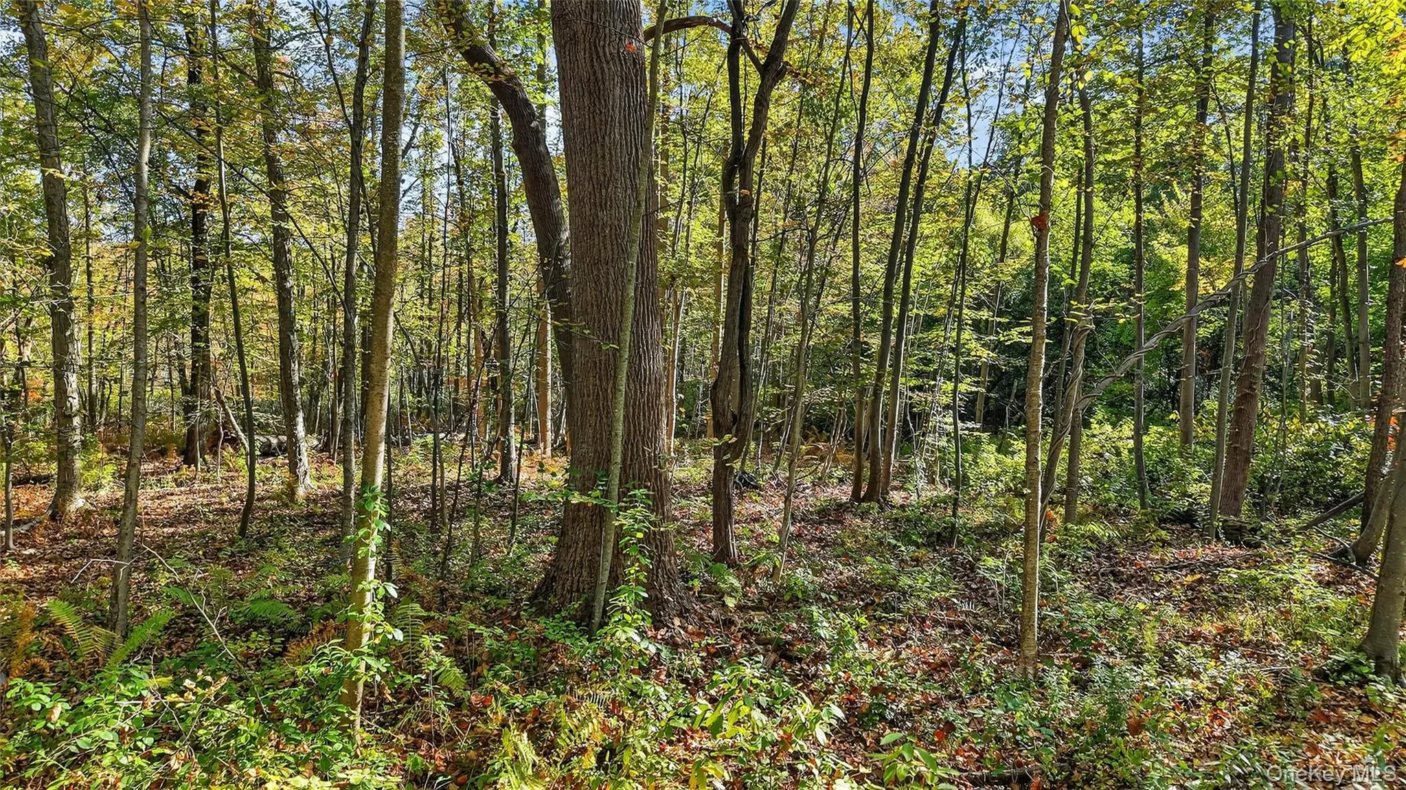 50 Winston Lane, Philipstown, NY, ,Land,For Rent,Winston,0,1011915 50 Winston Lane, Philipstown, NY, ,Land,For Rent,Winston,0,1011915