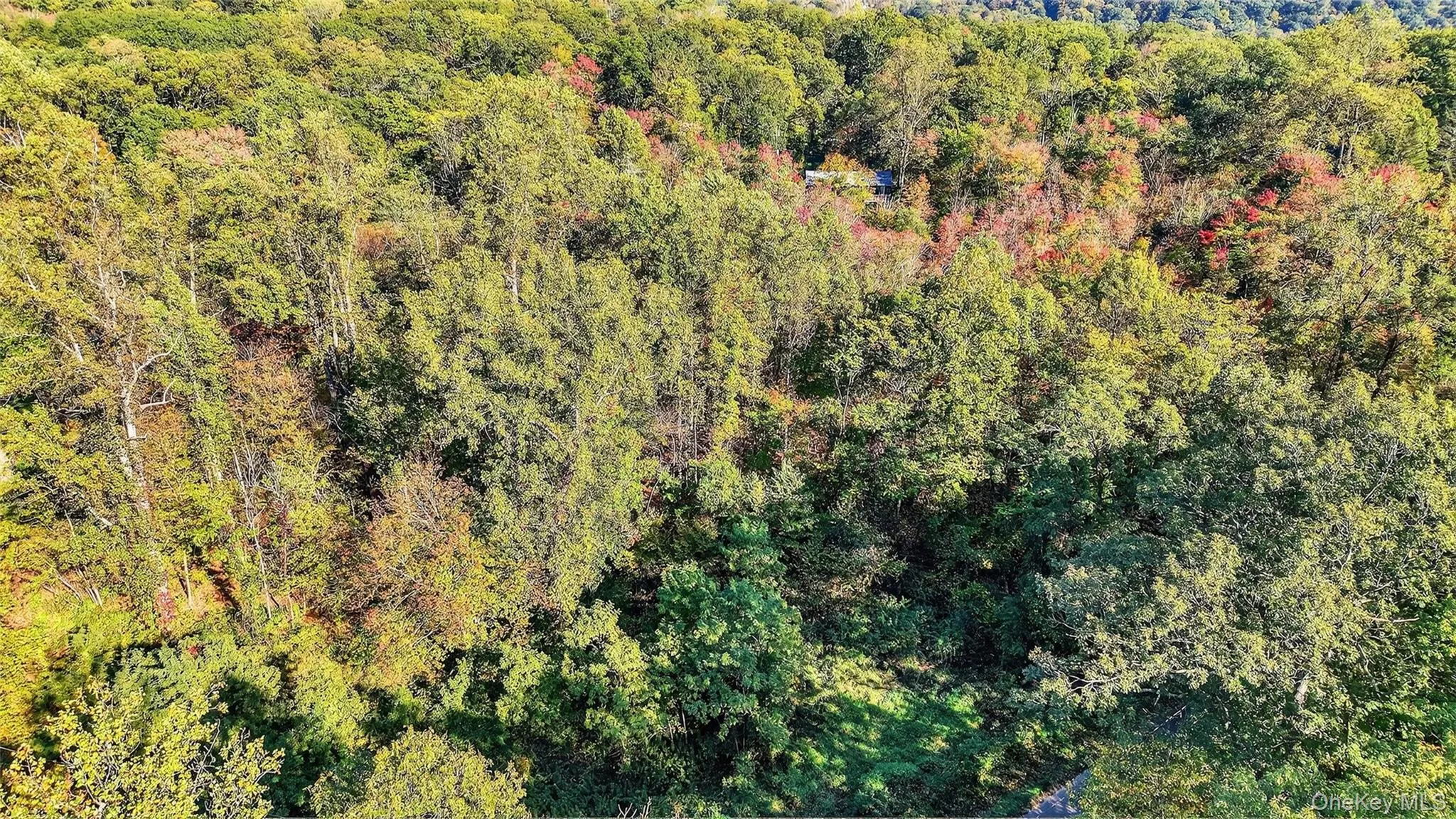 50 Winston Lane, Philipstown, NY, ,Land,For Rent,Winston,0,1011915 50 Winston Lane, Philipstown, NY, ,Land,For Rent,Winston,0,1011915