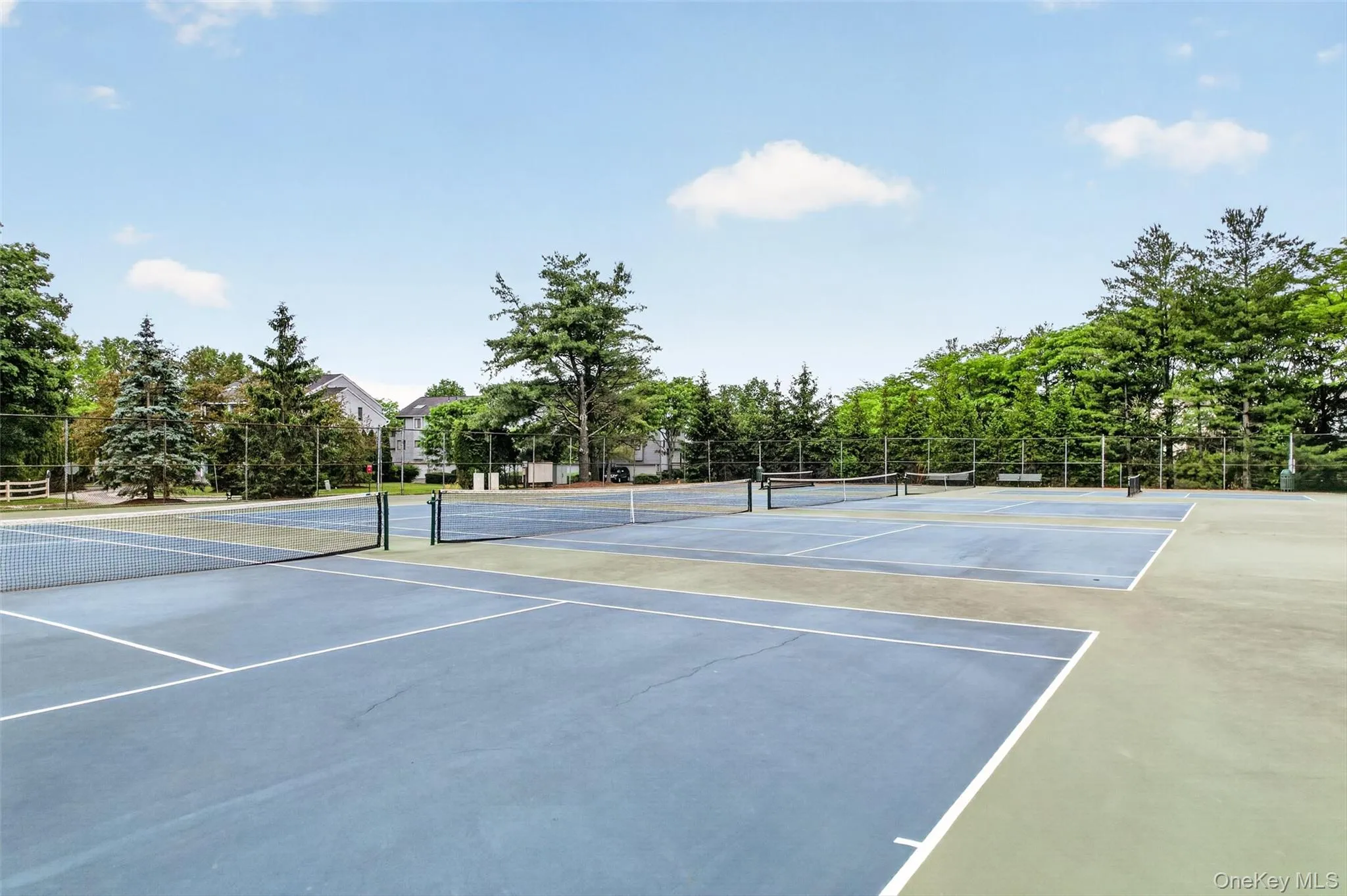 Tennis or pickleball. You have it all right in your own backyard. Tennis or pickleball. You have it all right in your own backyard.