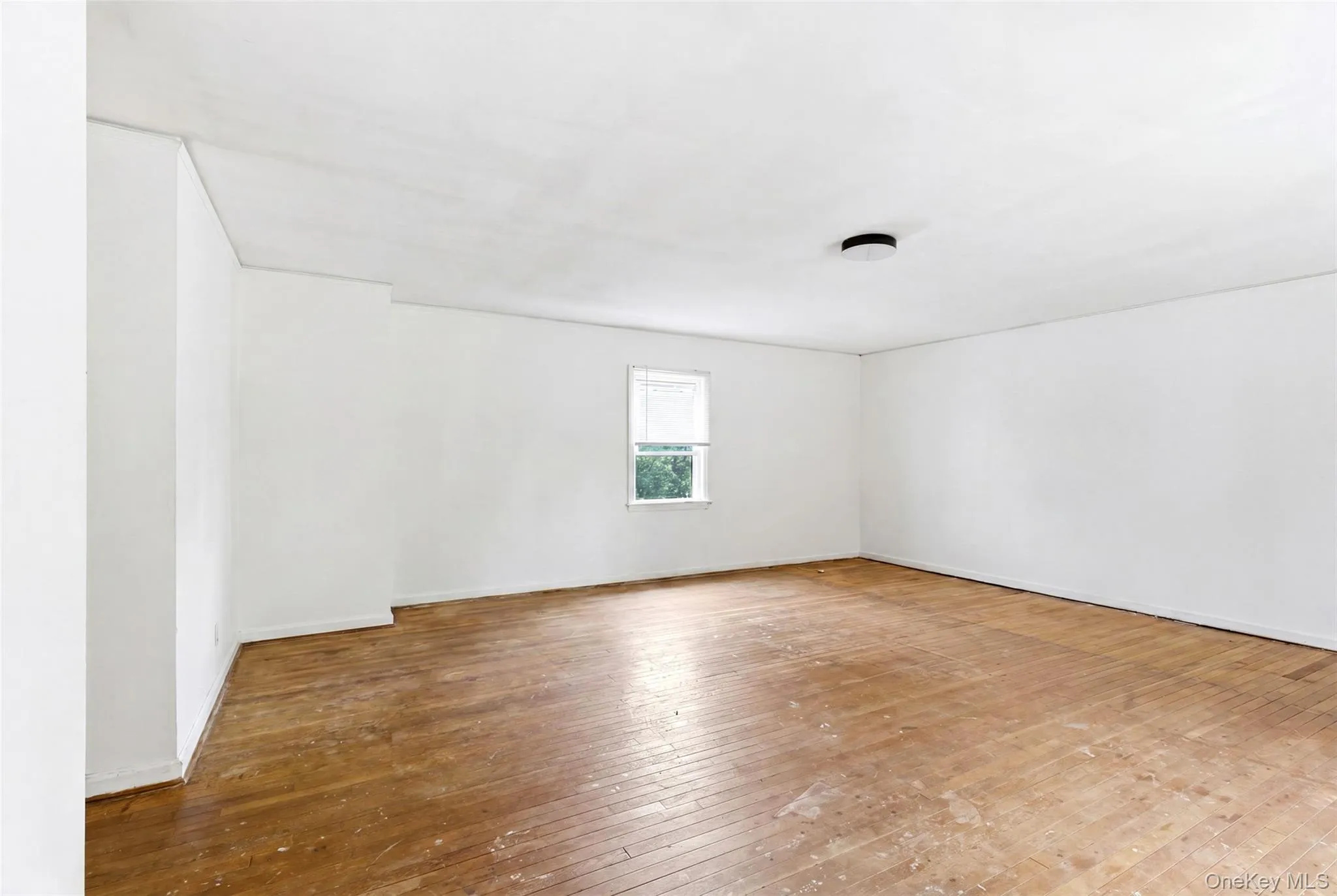11602 232nd Street, New York, NY, 4 Bedrooms Bedrooms, 7 Rooms Rooms,1 BathroomBathrooms,Residential,For Rent,232nd,0,1011926 11602 232nd Street, New York, NY, 4 Bedrooms Bedrooms, 7 Rooms Rooms,1 BathroomBathrooms,Residential,For Rent,232nd,0,1011926