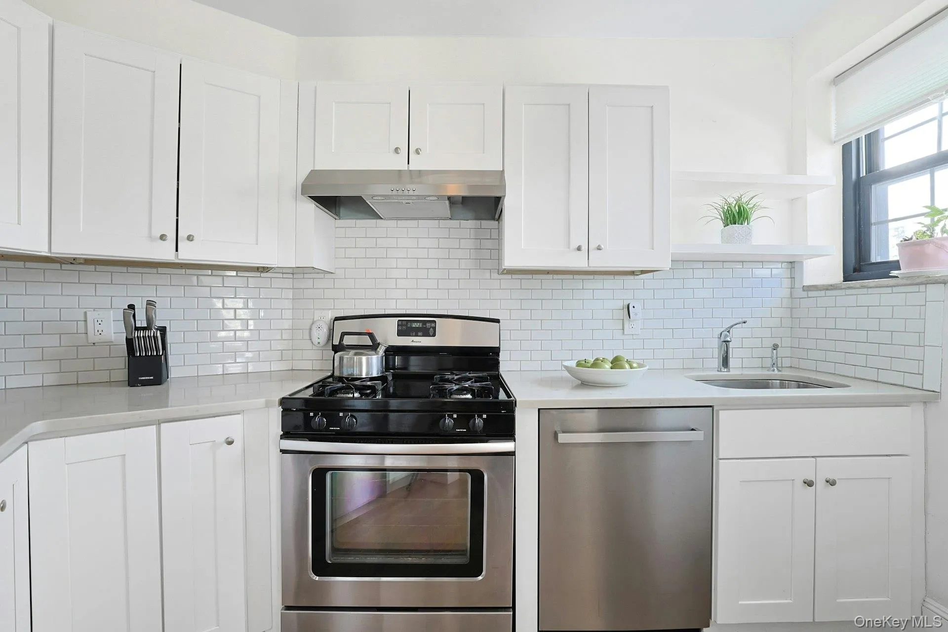 1273 North Avenue, New Rochelle, NY, 1 Bedroom Bedrooms, 4 Rooms Rooms,1 BathroomBathrooms,Residential,For Rent,North,0,1012062 1273 North Avenue, New Rochelle, NY, 1 Bedroom Bedrooms, 4 Rooms Rooms,1 BathroomBathrooms,Residential,For Rent,North,0,1012062