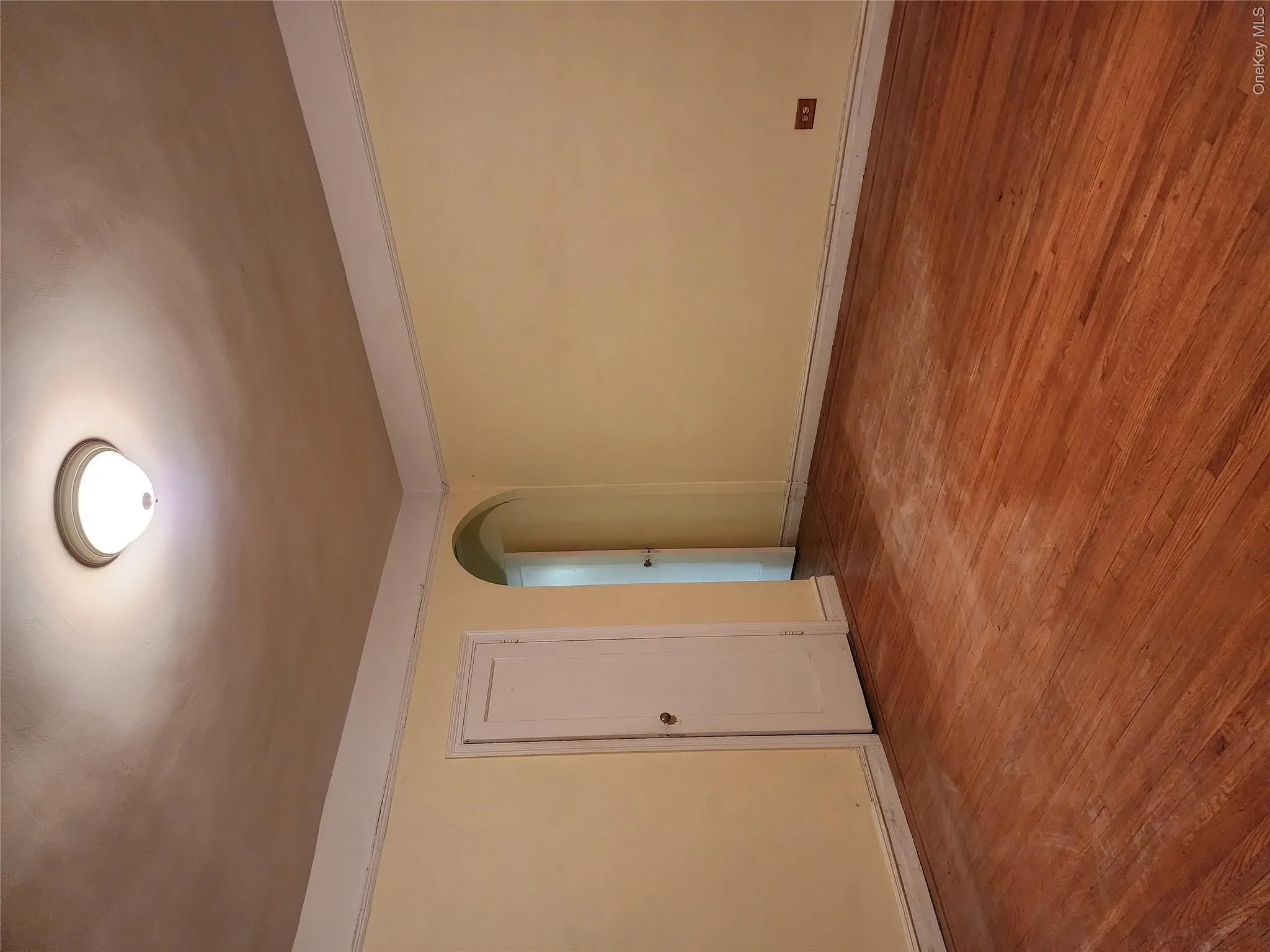 117-01 Park Lane South, New York, NY, 2 Bedrooms Bedrooms, 5 Rooms Rooms,2 BathroomsBathrooms,Residential,For Rent,Park Lane South,0,1012075 117-01 Park Lane South, New York, NY, 2 Bedrooms Bedrooms, 5 Rooms Rooms,2 BathroomsBathrooms,Residential,For Rent,Park Lane South,0,1012075