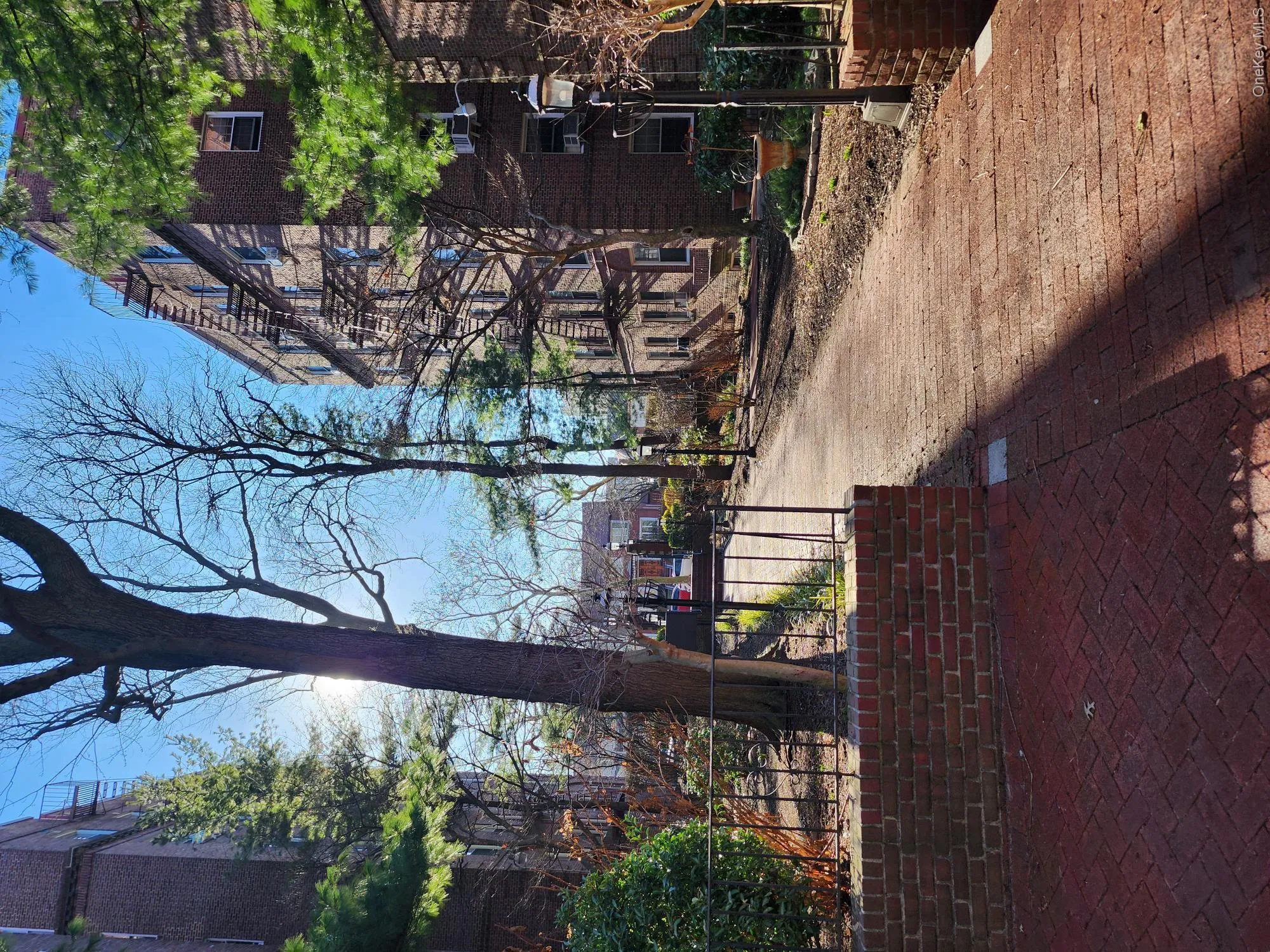 117-01 Park Lane South, New York, NY, 2 Bedrooms Bedrooms, 5 Rooms Rooms,2 BathroomsBathrooms,Residential,For Rent,Park Lane South,0,1012075 117-01 Park Lane South, New York, NY, 2 Bedrooms Bedrooms, 5 Rooms Rooms,2 BathroomsBathrooms,Residential,For Rent,Park Lane South,0,1012075