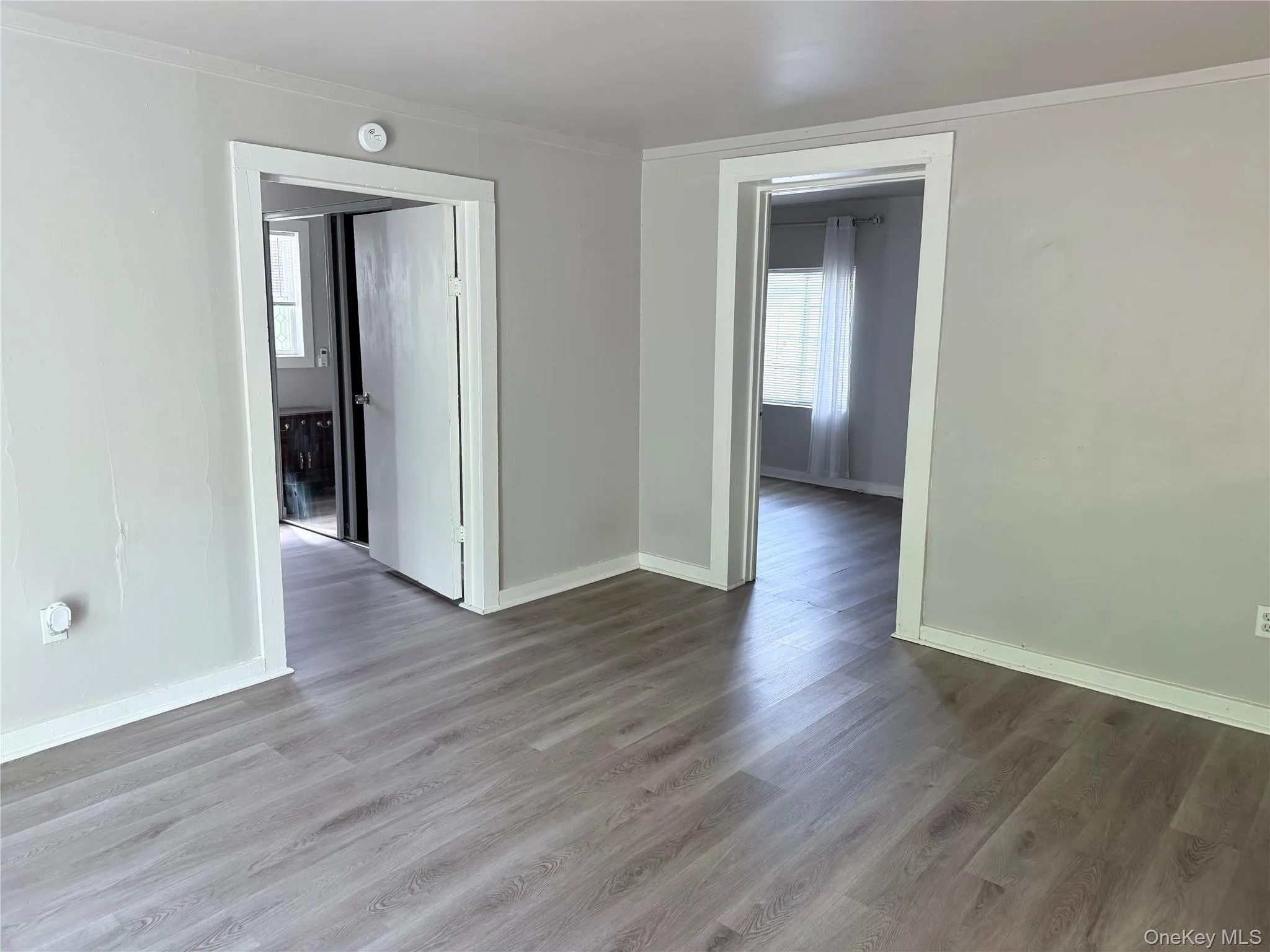 Light gray wood-finish flooring throughout, complemented by white baseboards and door frames Light gray wood-finish flooring throughout, complemented by white baseboards and door frames