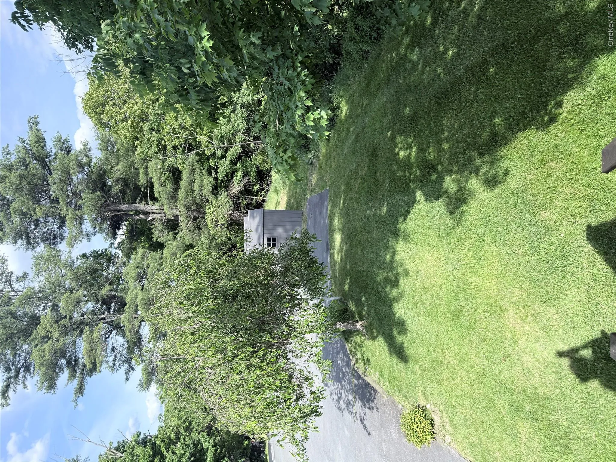Expansive green lawn with mature trees, a paved driveway, and a detached storage shed Expansive green lawn with mature trees, a paved driveway, and a detached storage shed
