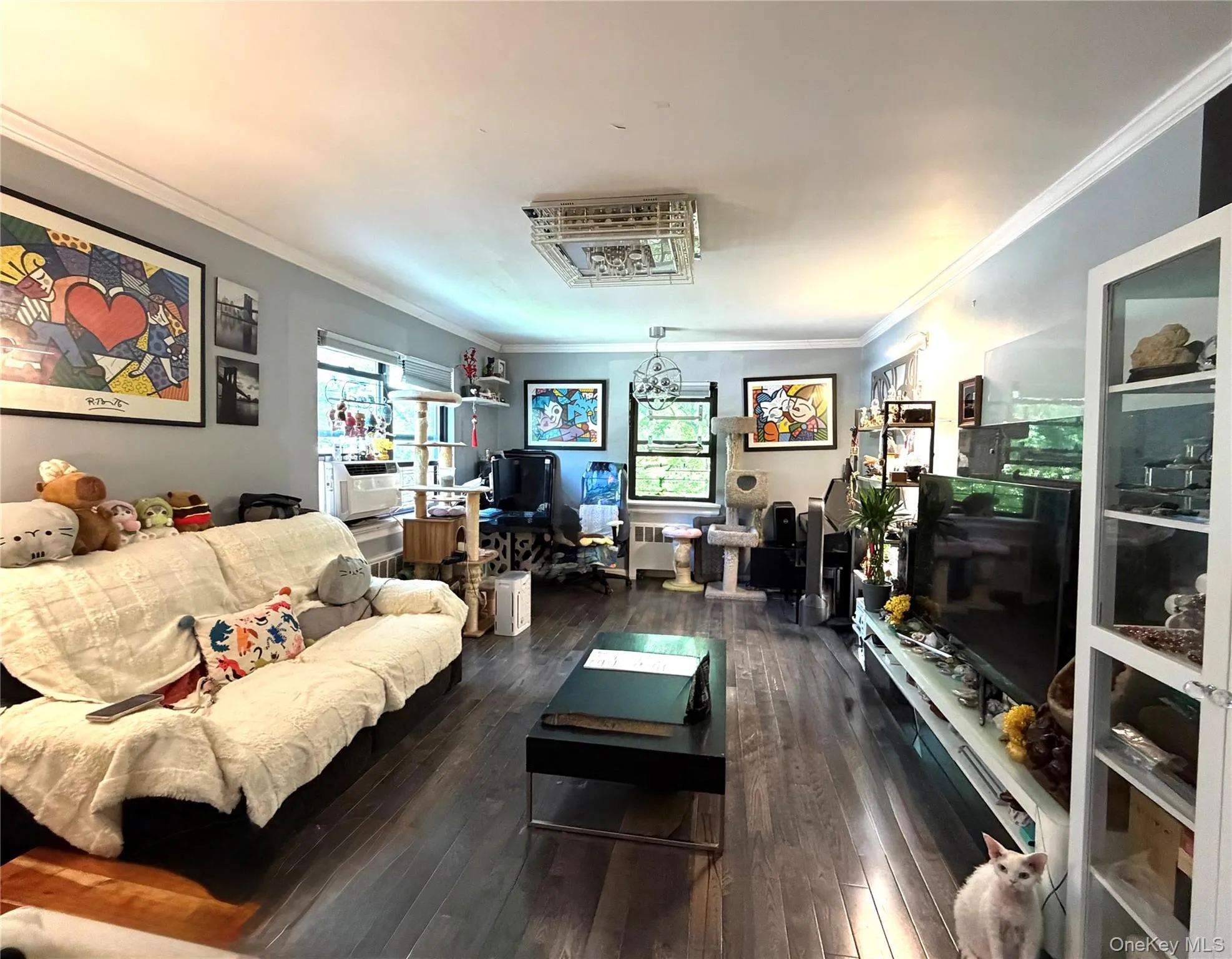 73-96 Springfield Blvd, New York, NY, 2 Bedrooms Bedrooms, 5 Rooms Rooms,1 BathroomBathrooms,Residential,For Rent,Springfield Blvd,0,1012108 73-96 Springfield Blvd, New York, NY, 2 Bedrooms Bedrooms, 5 Rooms Rooms,1 BathroomBathrooms,Residential,For Rent,Springfield Blvd,0,1012108
