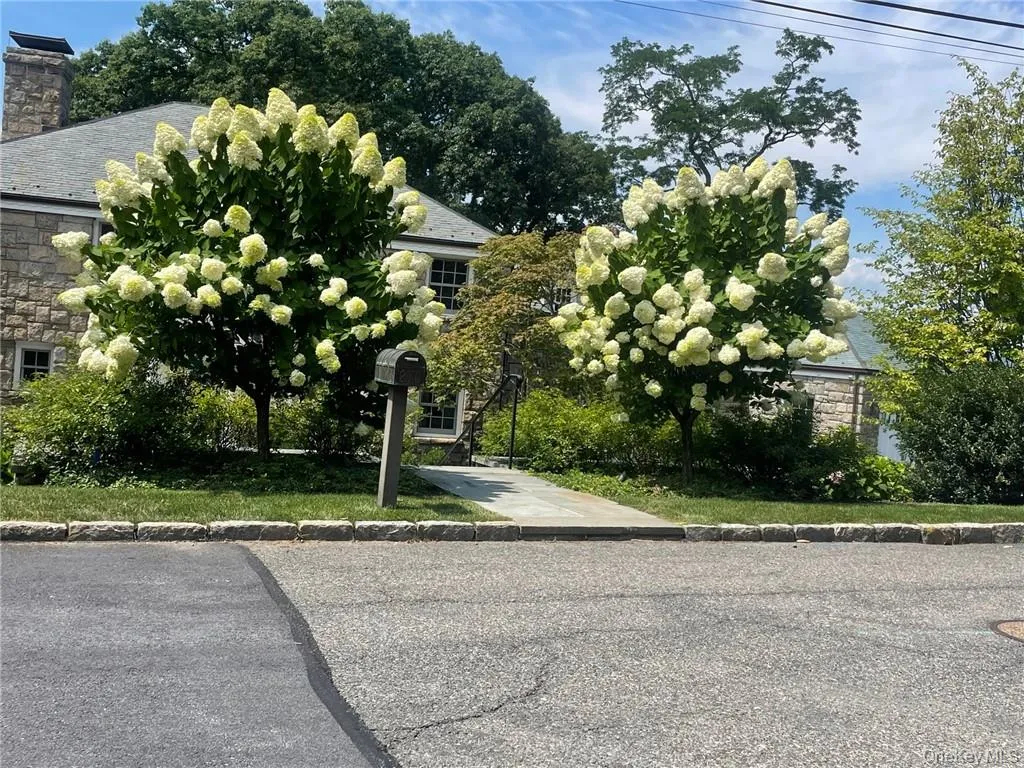 39 Riverside Avenue, Cortlandt, NY, 2 Bedrooms Bedrooms, 6 Rooms Rooms,1 BathroomBathrooms,Residential Lease,For Rent,Riverside,0,1012140 39 Riverside Avenue, Cortlandt, NY, 2 Bedrooms Bedrooms, 6 Rooms Rooms,1 BathroomBathrooms,Residential Lease,For Rent,Riverside,0,1012140