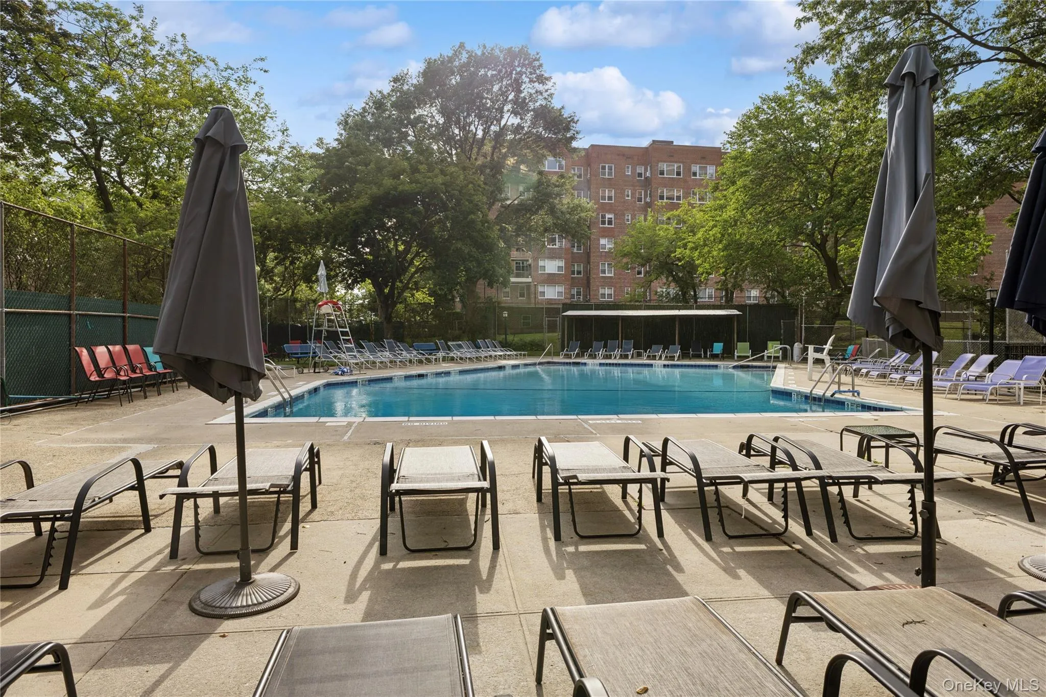 3777 Independence Avenue, New York, NY, 1 Bedroom Bedrooms, 3 Rooms Rooms,1 BathroomBathrooms,Residential,For Rent,Independence,0,1012141 3777 Independence Avenue, New York, NY, 1 Bedroom Bedrooms, 3 Rooms Rooms,1 BathroomBathrooms,Residential,For Rent,Independence,0,1012141