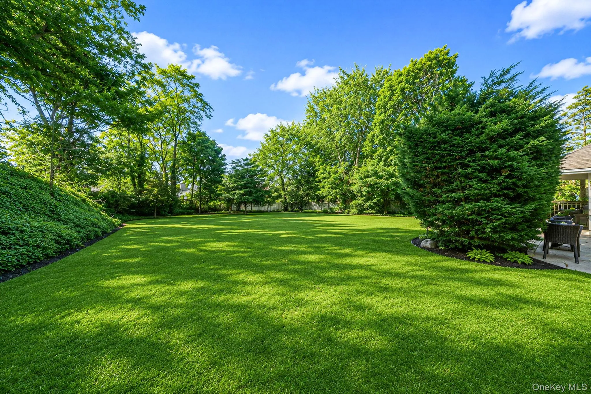 Grass has been edited. Grass has been edited.
