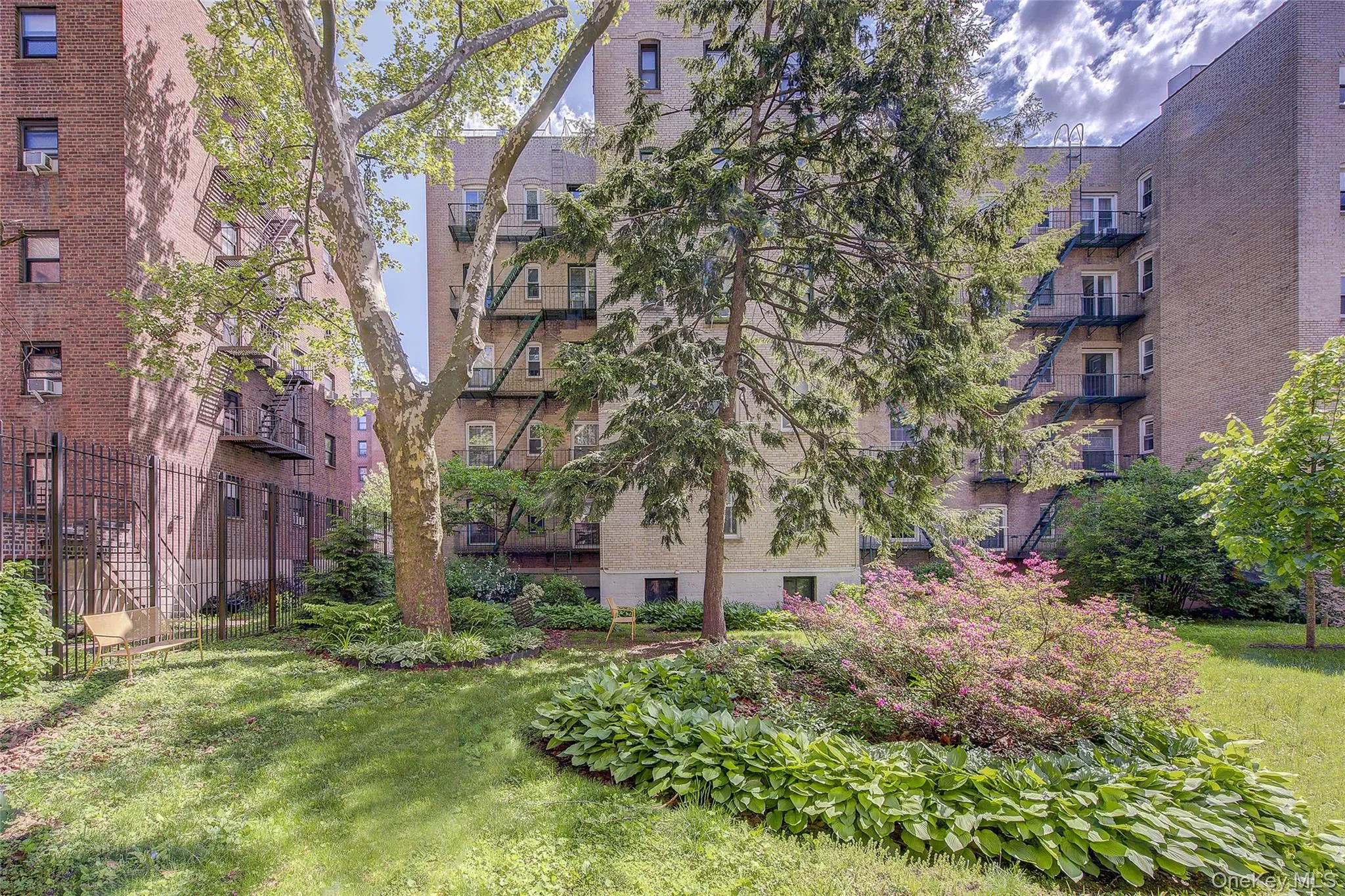 35-16 80th Street, New York, NY, 1 Bedroom Bedrooms, 3 Rooms Rooms,1 BathroomBathrooms,Residential,For Rent,80th,0,1012202 35-16 80th Street, New York, NY, 1 Bedroom Bedrooms, 3 Rooms Rooms,1 BathroomBathrooms,Residential,For Rent,80th,0,1012202