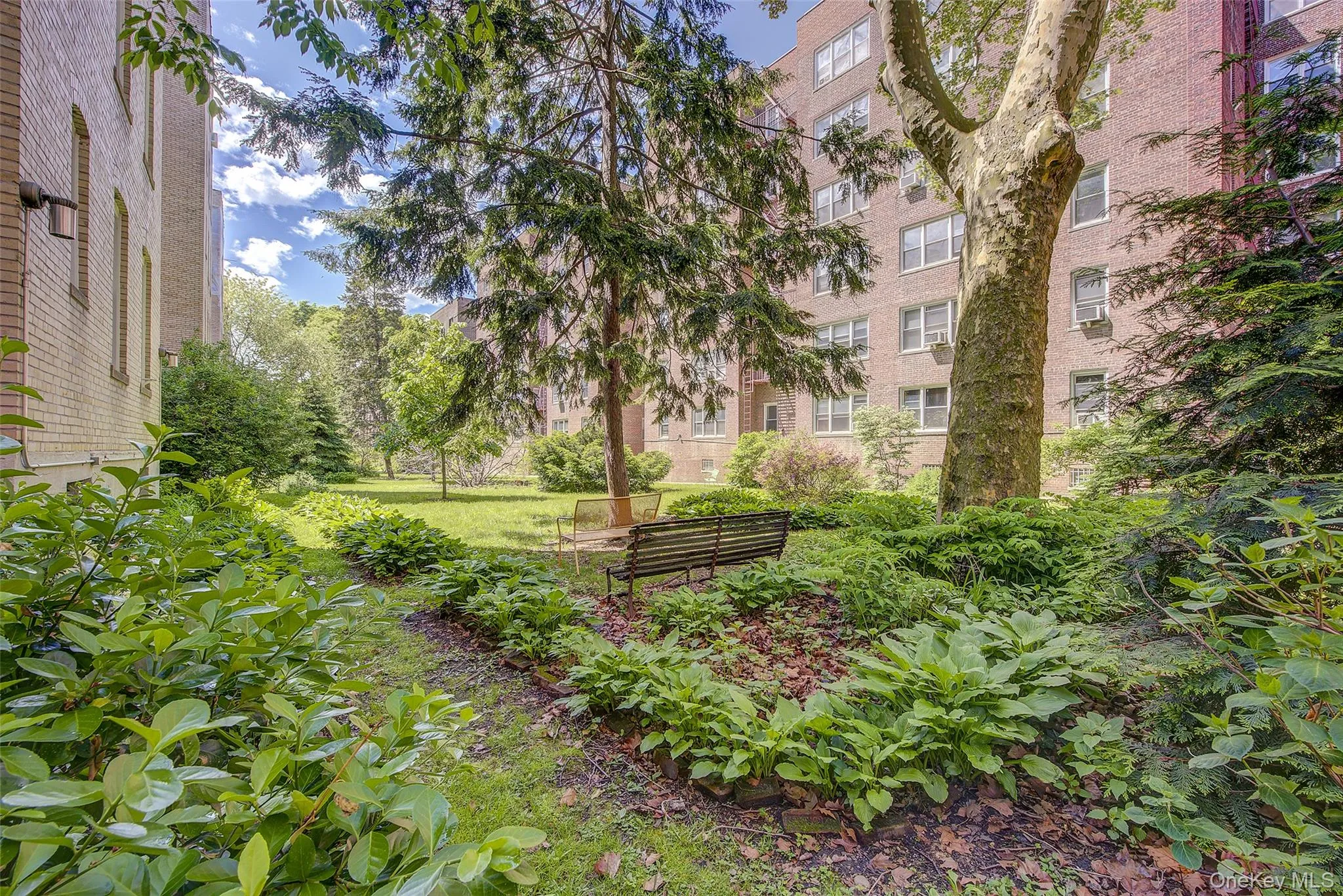 35-16 80th Street, New York, NY, 1 Bedroom Bedrooms, 3 Rooms Rooms,1 BathroomBathrooms,Residential,For Rent,80th,0,1012202 35-16 80th Street, New York, NY, 1 Bedroom Bedrooms, 3 Rooms Rooms,1 BathroomBathrooms,Residential,For Rent,80th,0,1012202
