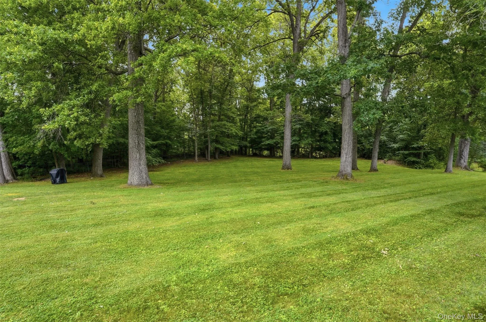 7 Gold Road, Wappinger, NY, 3 Bedrooms Bedrooms, 9 Rooms Rooms,2 BathroomsBathrooms,Residential,For Rent,Gold,0,1012204 7 Gold Road, Wappinger, NY, 3 Bedrooms Bedrooms, 9 Rooms Rooms,2 BathroomsBathrooms,Residential,For Rent,Gold,0,1012204