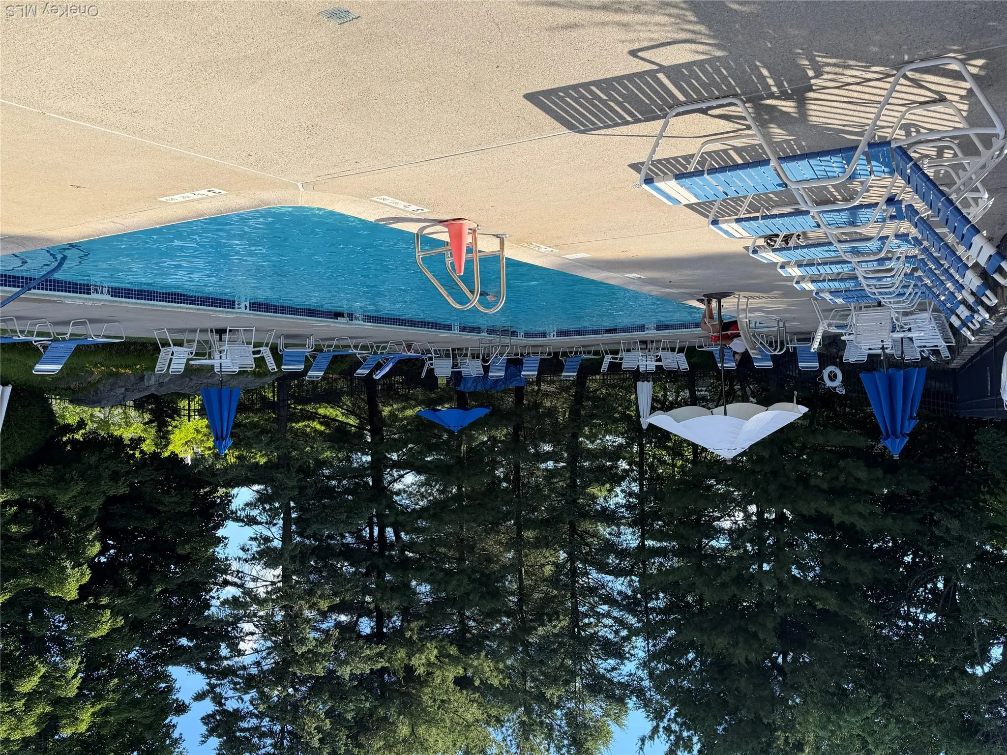 Community Swimming Pool with lifeguard Community Swimming Pool with lifeguard