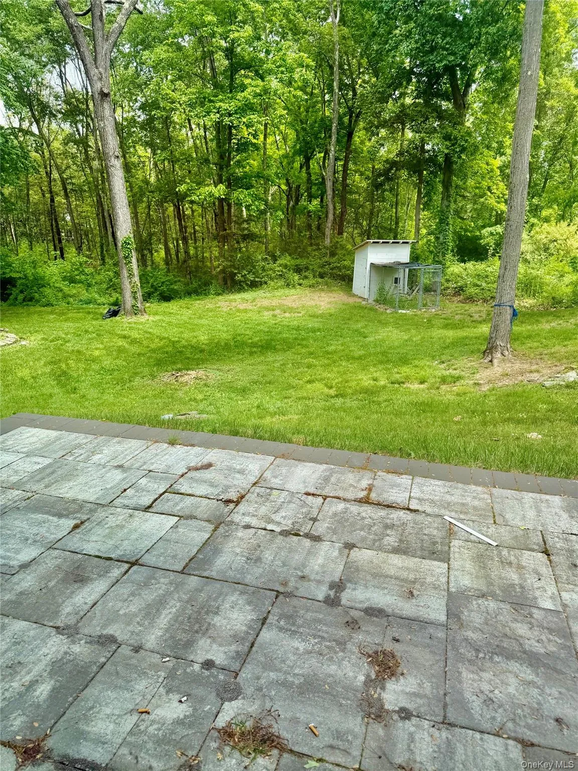 46 Rogers Road, Hyde Park, NY, 3 Bedrooms Bedrooms, 7 Rooms Rooms,2 BathroomsBathrooms,Residential,For Rent,Rogers,0,1012221 46 Rogers Road, Hyde Park, NY, 3 Bedrooms Bedrooms, 7 Rooms Rooms,2 BathroomsBathrooms,Residential,For Rent,Rogers,0,1012221