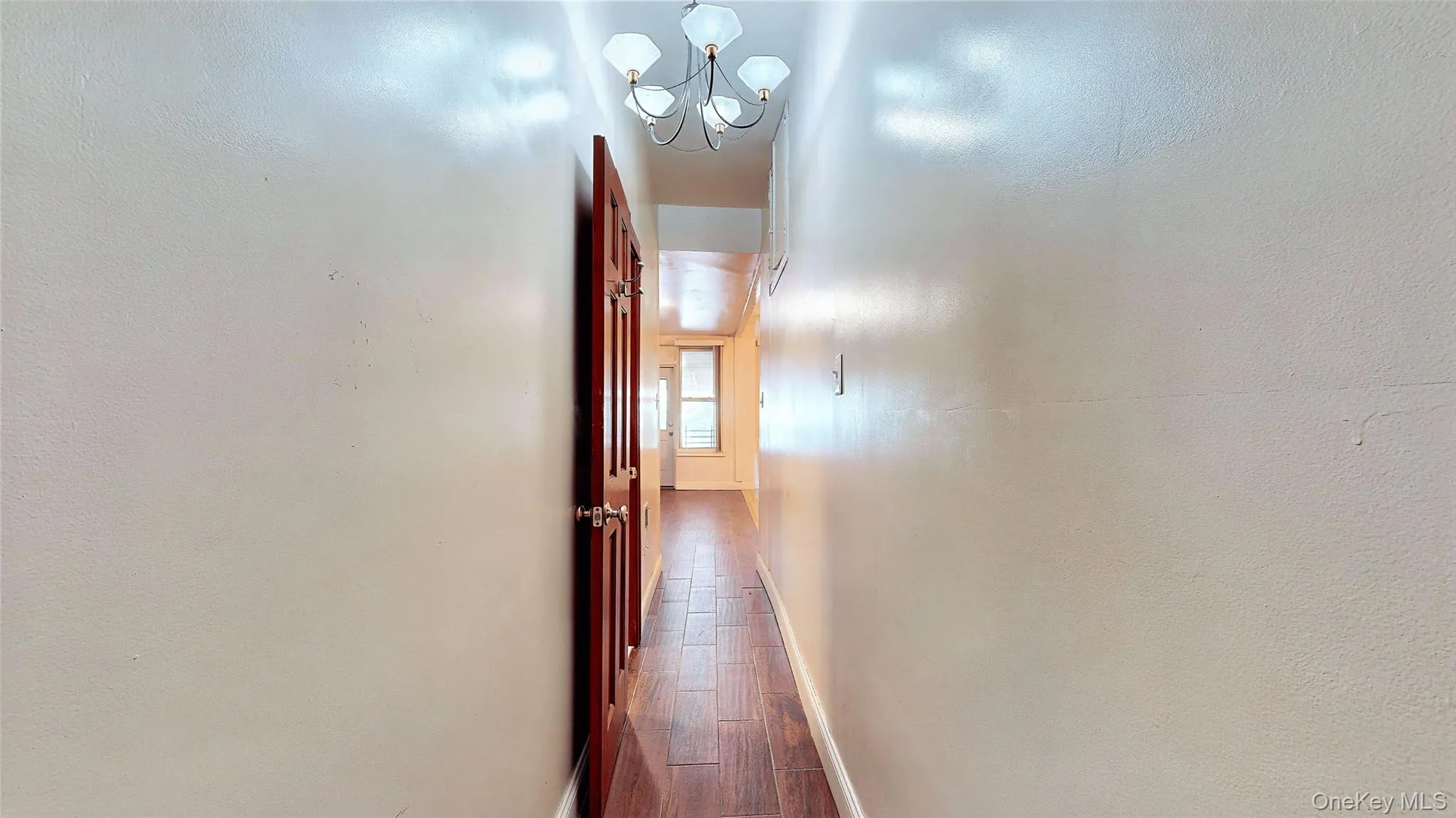 479 Irving Avenue, New York, NY, 3 Bedrooms Bedrooms, 6 Rooms Rooms,2 BathroomsBathrooms,Residential Lease,For Rent,Irving,0,1012234 479 Irving Avenue, New York, NY, 3 Bedrooms Bedrooms, 6 Rooms Rooms,2 BathroomsBathrooms,Residential Lease,For Rent,Irving,0,1012234