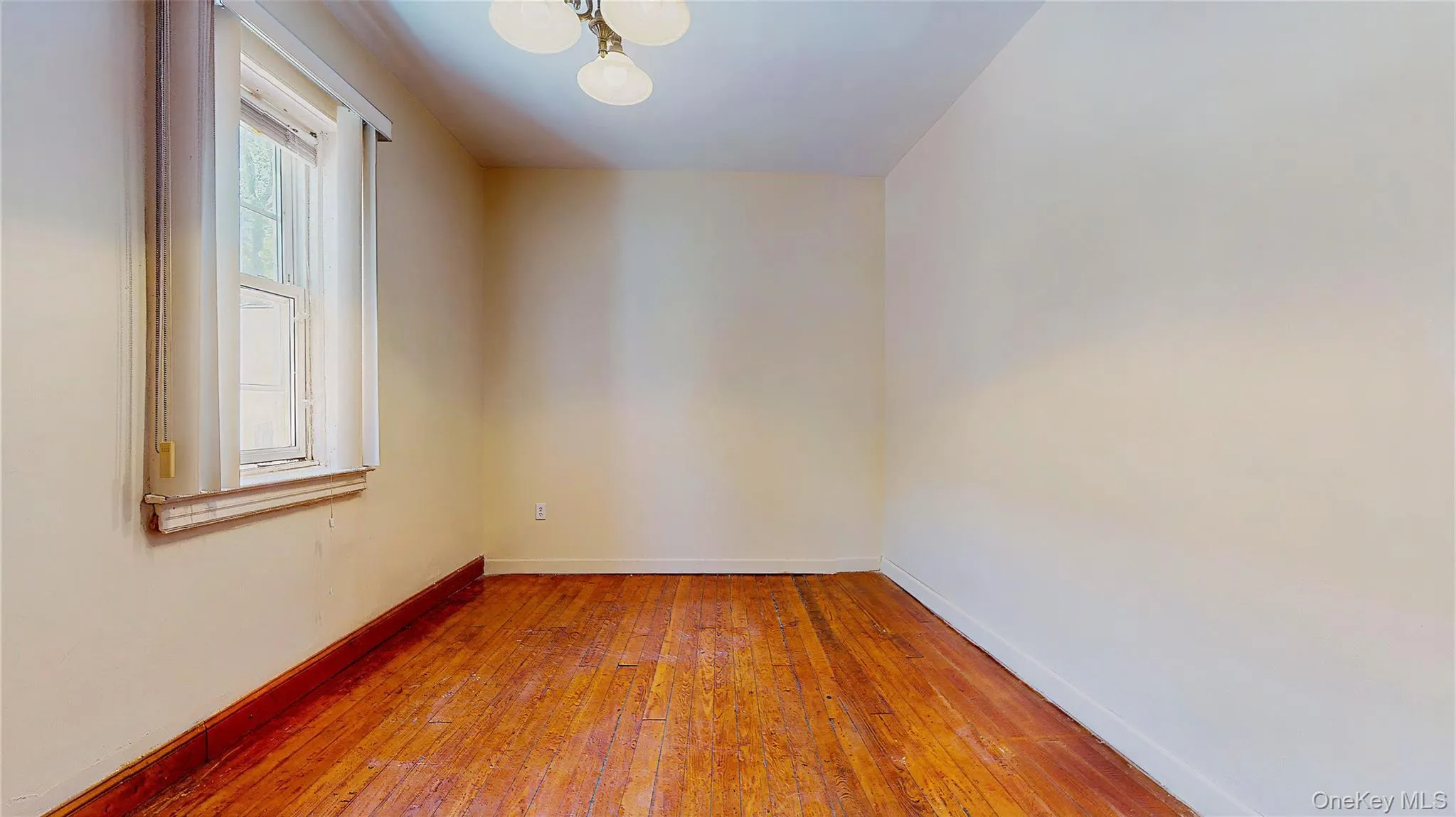 479 Irving Avenue, New York, NY, 3 Bedrooms Bedrooms, 6 Rooms Rooms,2 BathroomsBathrooms,Residential Lease,For Rent,Irving,0,1012234 479 Irving Avenue, New York, NY, 3 Bedrooms Bedrooms, 6 Rooms Rooms,2 BathroomsBathrooms,Residential Lease,For Rent,Irving,0,1012234