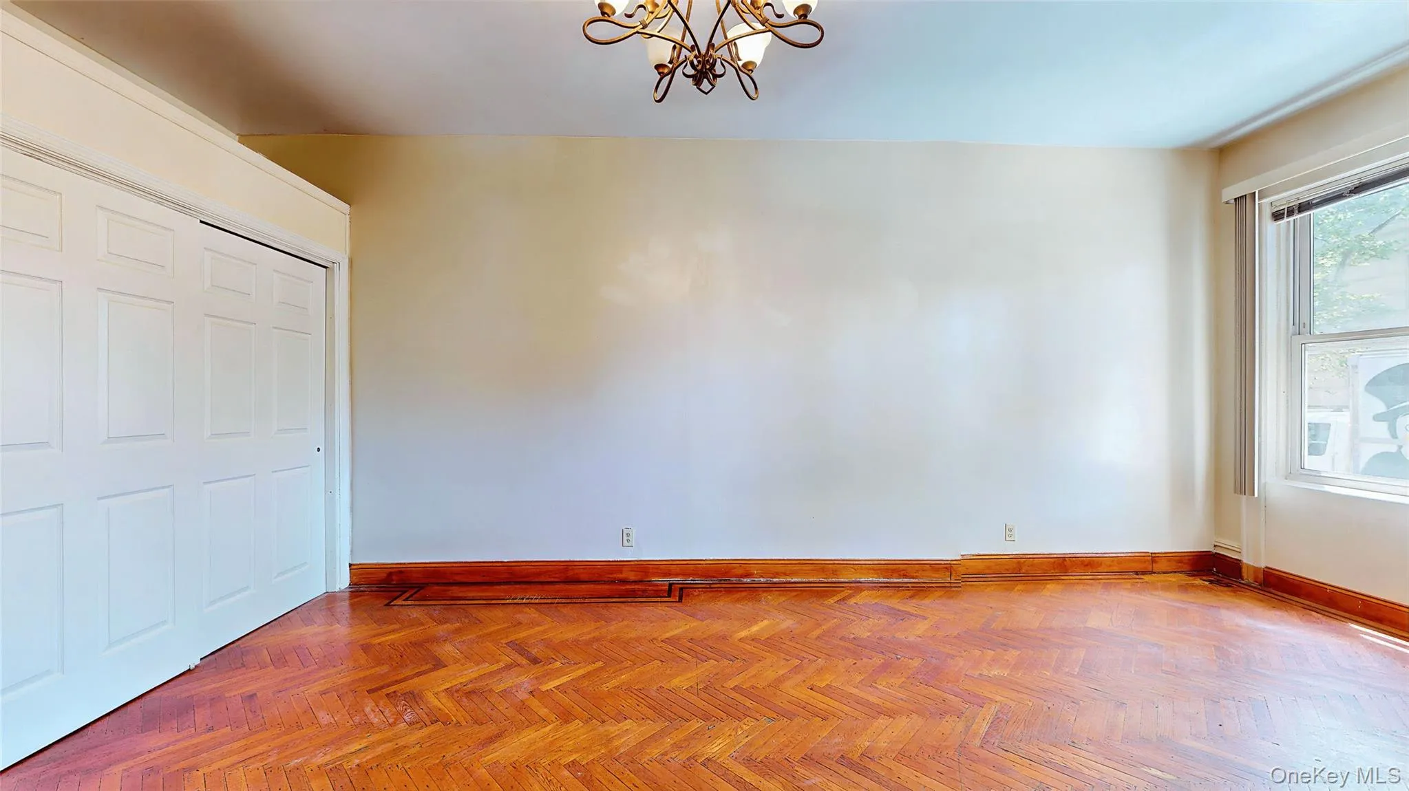 479 Irving Avenue, New York, NY, 3 Bedrooms Bedrooms, 6 Rooms Rooms,2 BathroomsBathrooms,Residential Lease,For Rent,Irving,0,1012234 479 Irving Avenue, New York, NY, 3 Bedrooms Bedrooms, 6 Rooms Rooms,2 BathroomsBathrooms,Residential Lease,For Rent,Irving,0,1012234