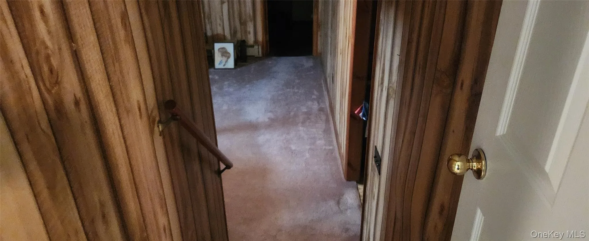 Stairs down to extra room=recreation Room? Stairs down to extra room=recreation Room?