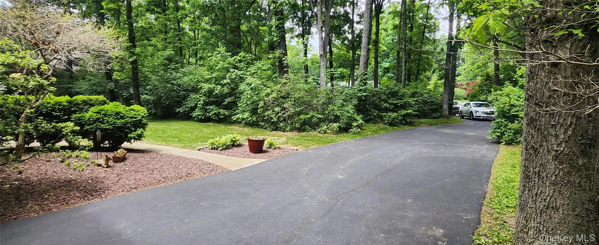 Driveway --Privacy Driveway --Privacy