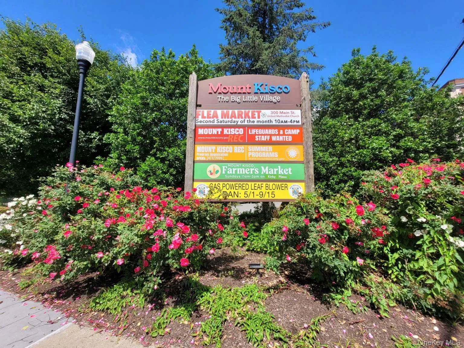 31 Timber Ridge, Mount Kisco, NY, 3 Bedrooms Bedrooms, 9 Rooms Rooms,2 BathroomsBathrooms,Residential,For Rent,Timber,0,1012244 31 Timber Ridge, Mount Kisco, NY, 3 Bedrooms Bedrooms, 9 Rooms Rooms,2 BathroomsBathrooms,Residential,For Rent,Timber,0,1012244