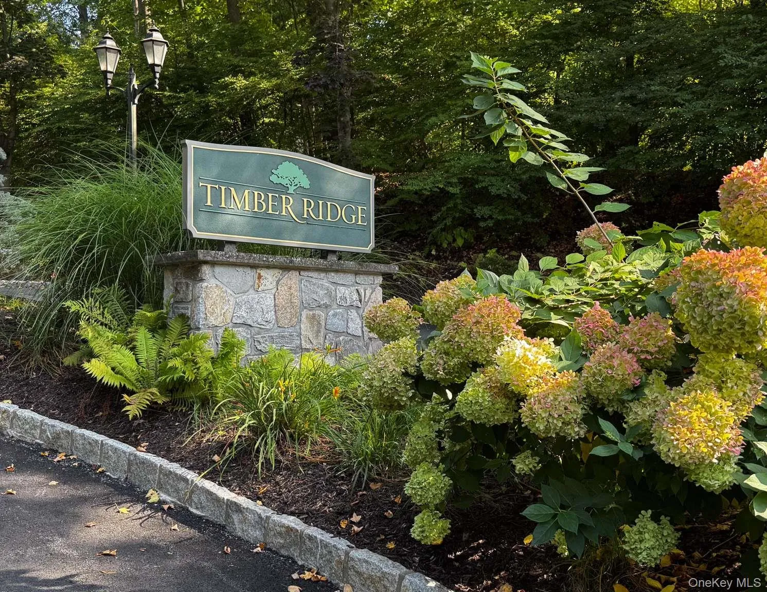 31 Timber Ridge, Mount Kisco, NY, 3 Bedrooms Bedrooms, 9 Rooms Rooms,2 BathroomsBathrooms,Residential,For Rent,Timber,0,1012244 31 Timber Ridge, Mount Kisco, NY, 3 Bedrooms Bedrooms, 9 Rooms Rooms,2 BathroomsBathrooms,Residential,For Rent,Timber,0,1012244