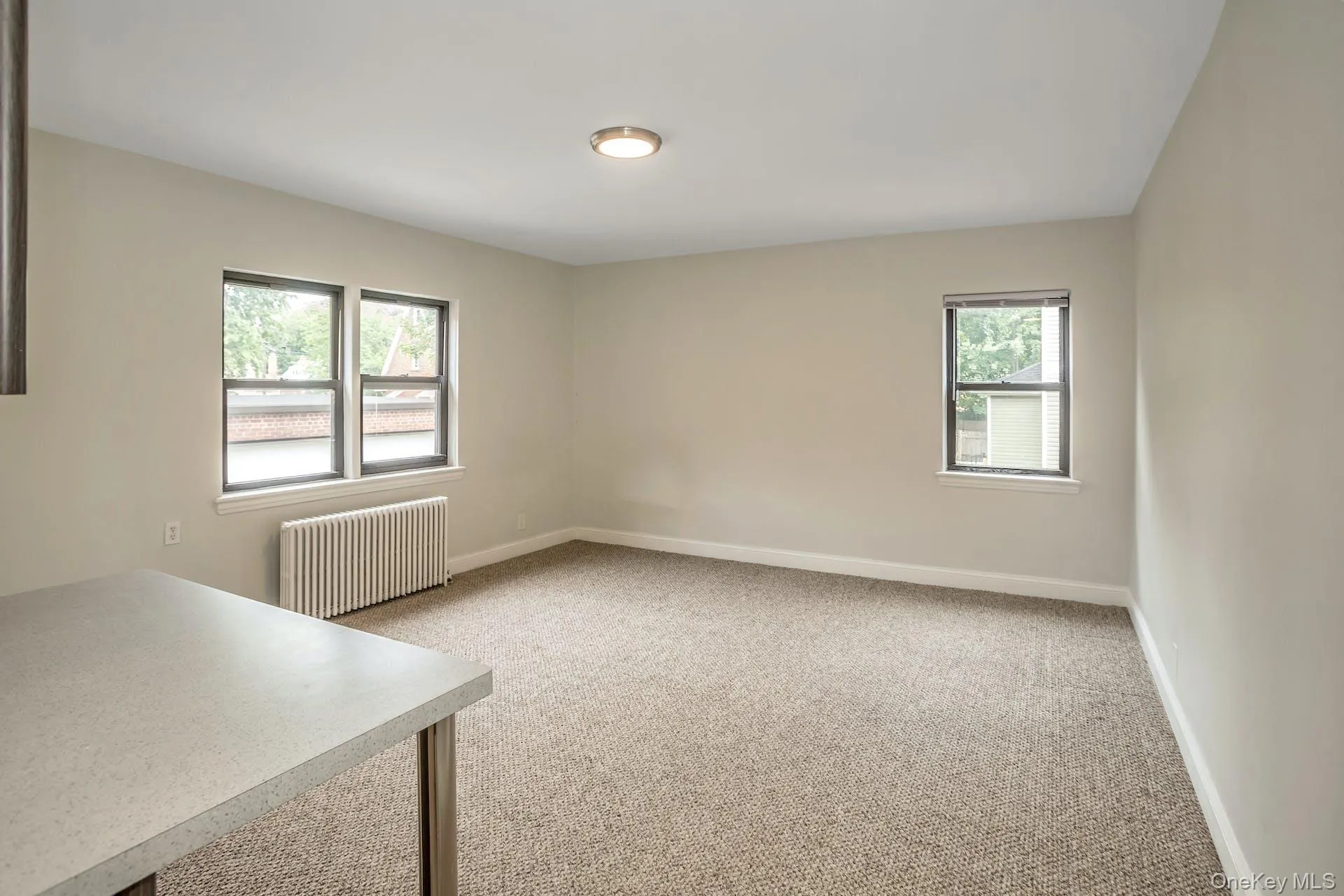 Carpeted empty room featuring radiator heating unit and baseboards Carpeted empty room featuring radiator heating unit and baseboards
