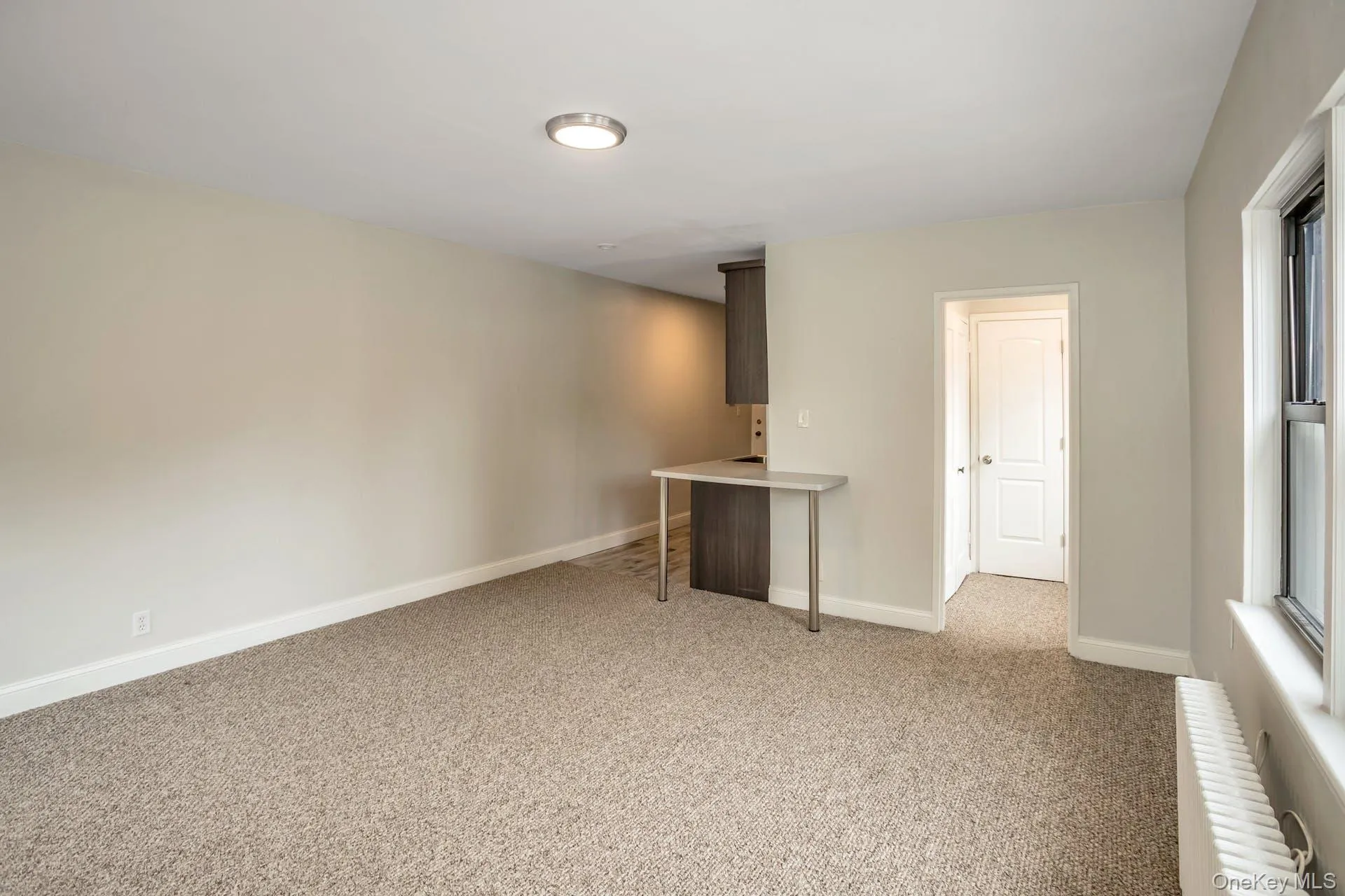 Carpeted empty room featuring baseboards Carpeted empty room featuring baseboards