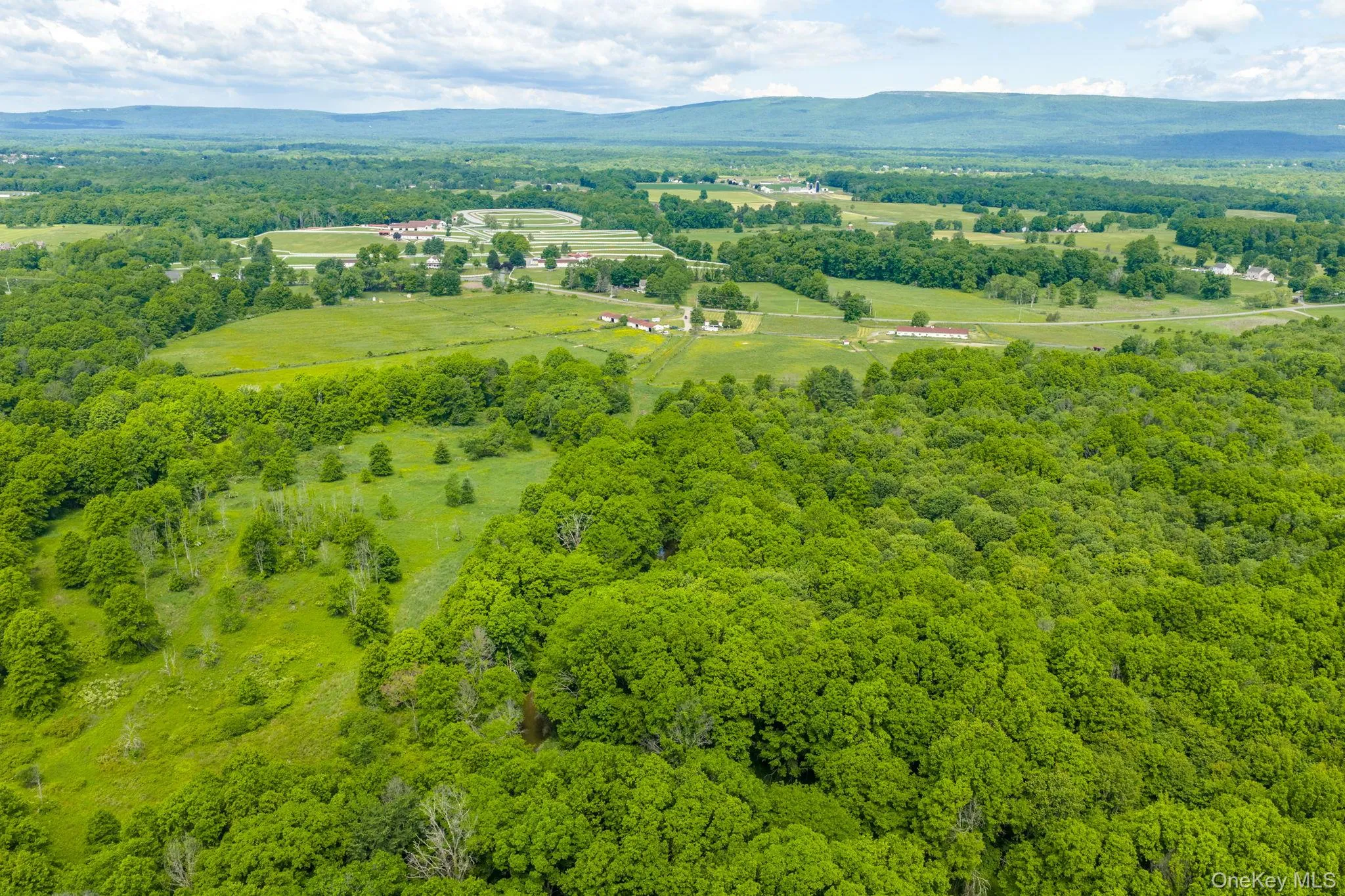240 Drexel Drive, Crawford, NY, ,Land,For Rent,Drexel,0,1012256 240 Drexel Drive, Crawford, NY, ,Land,For Rent,Drexel,0,1012256