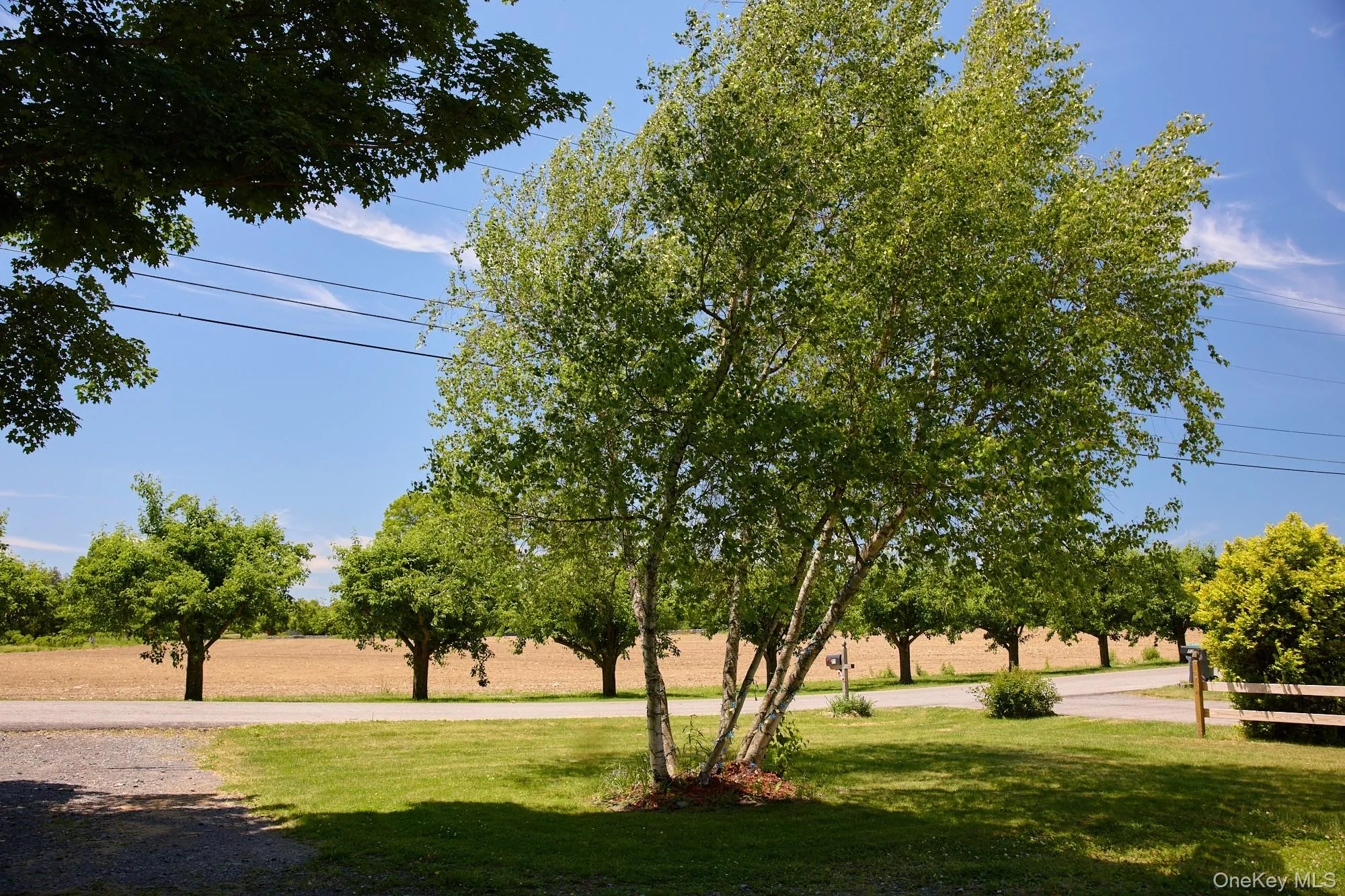 75 Brookside Road, New Paltz, NY, 3 Bedrooms Bedrooms, 6 Rooms Rooms,1 BathroomBathrooms,Residential,For Rent,Brookside,0,1012304 75 Brookside Road, New Paltz, NY, 3 Bedrooms Bedrooms, 6 Rooms Rooms,1 BathroomBathrooms,Residential,For Rent,Brookside,0,1012304