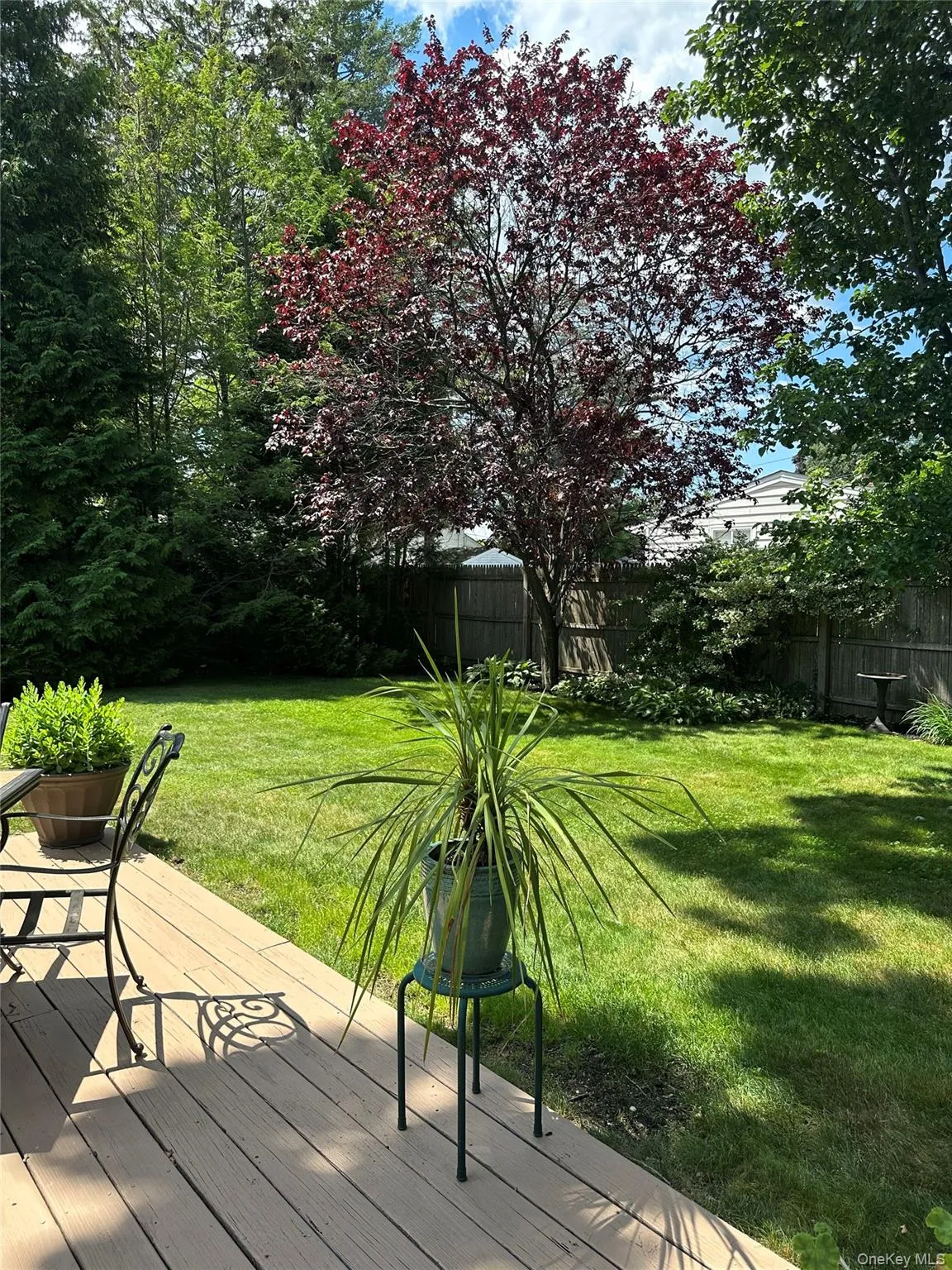 197 Walker Street, West Babylon, NY, 4 Bedrooms Bedrooms, 8 Rooms Rooms,2 BathroomsBathrooms,Residential,For Rent,Walker,0,KEY1012308 197 Walker Street, West Babylon, NY, 4 Bedrooms Bedrooms, 8 Rooms Rooms,2 BathroomsBathrooms,Residential,For Rent,Walker,0,KEY1012308