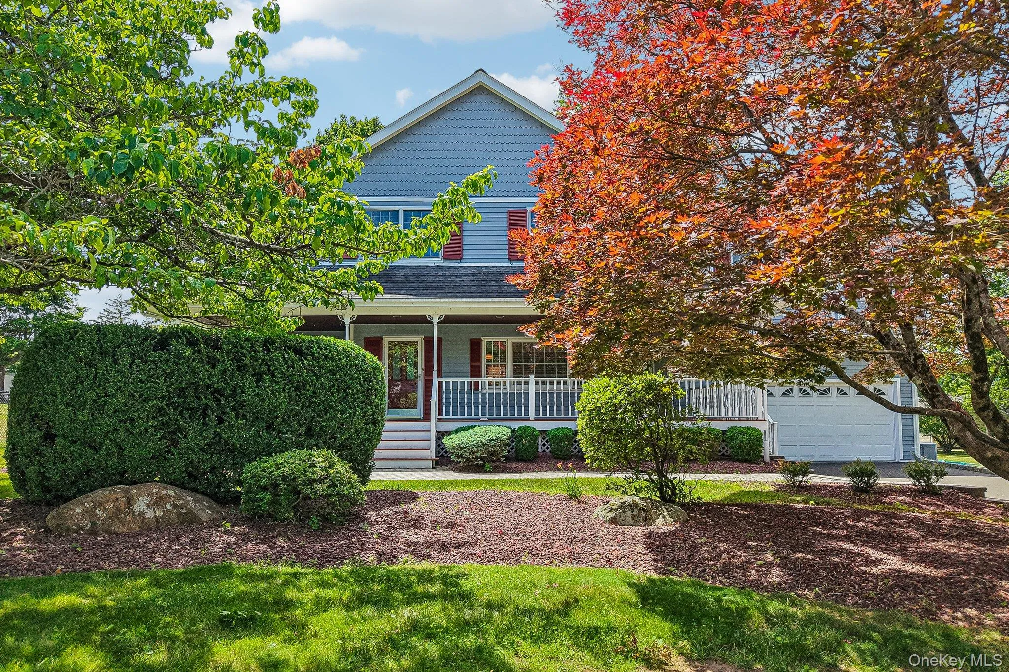 Japanese maple and flowering dogwood on front lawn Japanese maple and flowering dogwood on front lawn