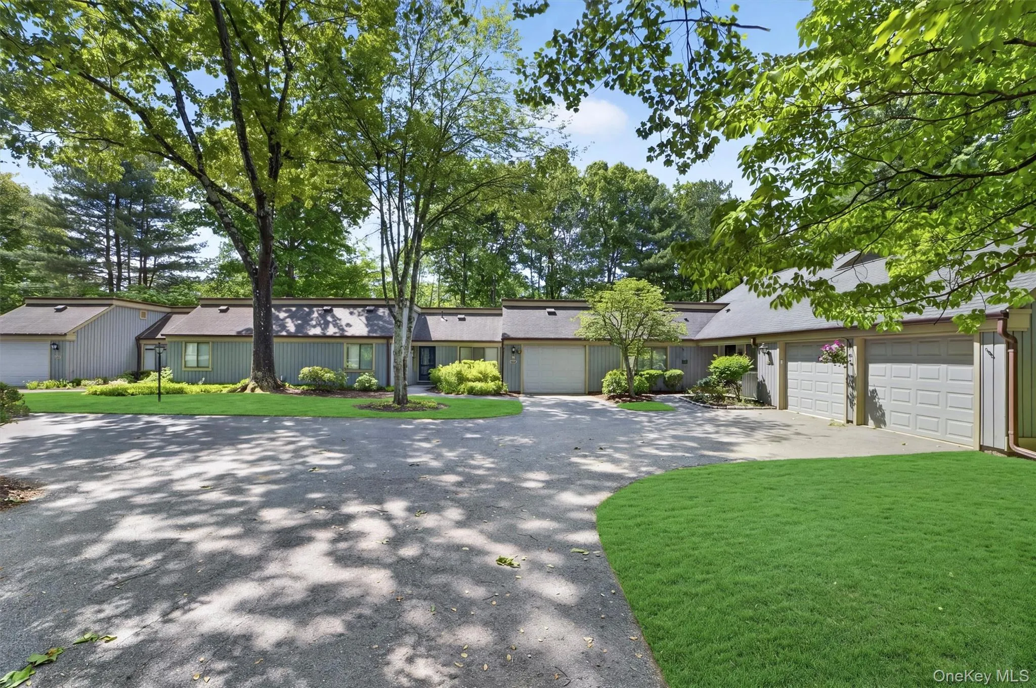 Asphalt driveways with mature trees, green lawns, and attached garages Asphalt driveways with mature trees, green lawns, and attached garages