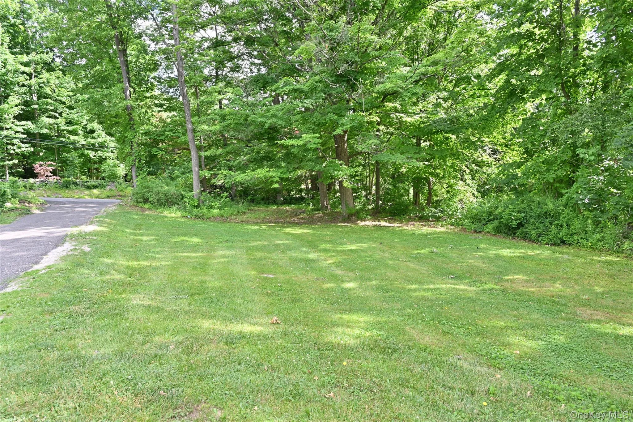 Driveway /front yard Driveway /front yard