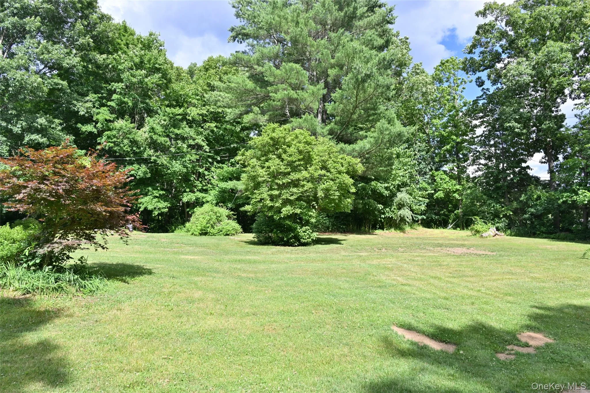 136 Foggintown Road, Southeast, NY, 3 Bedrooms Bedrooms, 7 Rooms Rooms,4 BathroomsBathrooms,Residential,For Rent,Foggintown,0,1012324 136 Foggintown Road, Southeast, NY, 3 Bedrooms Bedrooms, 7 Rooms Rooms,4 BathroomsBathrooms,Residential,For Rent,Foggintown,0,1012324