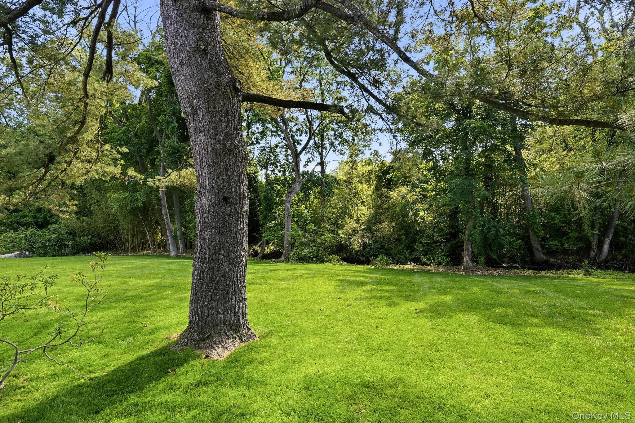 65 Lincoln Road, Scarsdale, NY, 4 Bedrooms Bedrooms, 8 Rooms Rooms,3 BathroomsBathrooms,Residential Lease,For Rent,Lincoln,0,1012326 65 Lincoln Road, Scarsdale, NY, 4 Bedrooms Bedrooms, 8 Rooms Rooms,3 BathroomsBathrooms,Residential Lease,For Rent,Lincoln,0,1012326