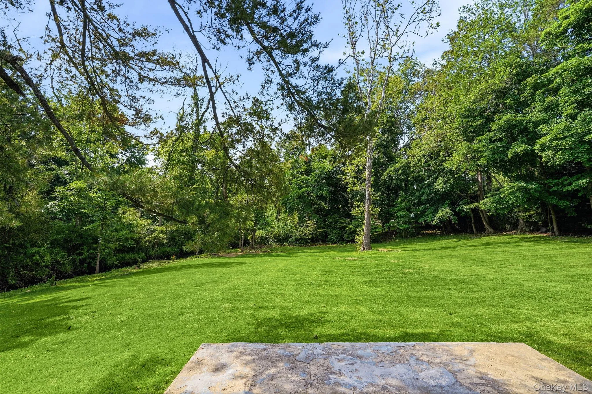65 Lincoln Road, Scarsdale, NY, 4 Bedrooms Bedrooms, 8 Rooms Rooms,3 BathroomsBathrooms,Residential Lease,For Rent,Lincoln,0,1012326 65 Lincoln Road, Scarsdale, NY, 4 Bedrooms Bedrooms, 8 Rooms Rooms,3 BathroomsBathrooms,Residential Lease,For Rent,Lincoln,0,1012326