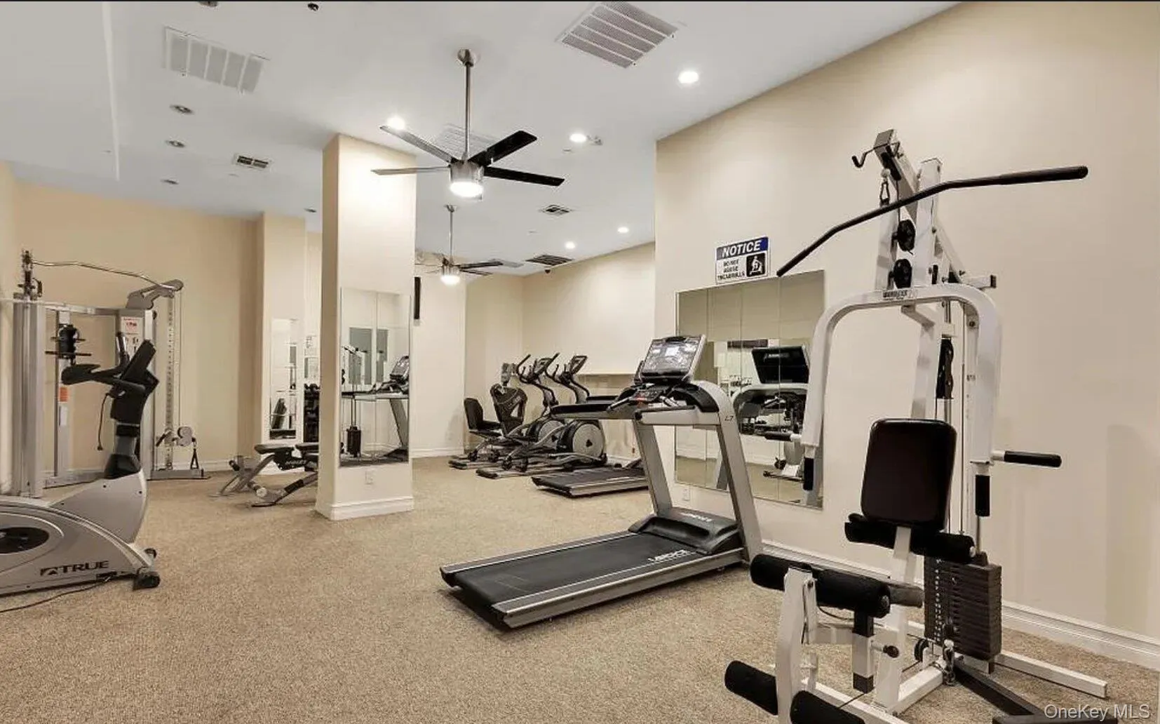 63-36 99th Street, New York, NY, 2 Bedrooms Bedrooms, 3 Rooms Rooms,2 BathroomsBathrooms,Residential Lease,For Rent,99th,0,1012329 63-36 99th Street, New York, NY, 2 Bedrooms Bedrooms, 3 Rooms Rooms,2 BathroomsBathrooms,Residential Lease,For Rent,99th,0,1012329