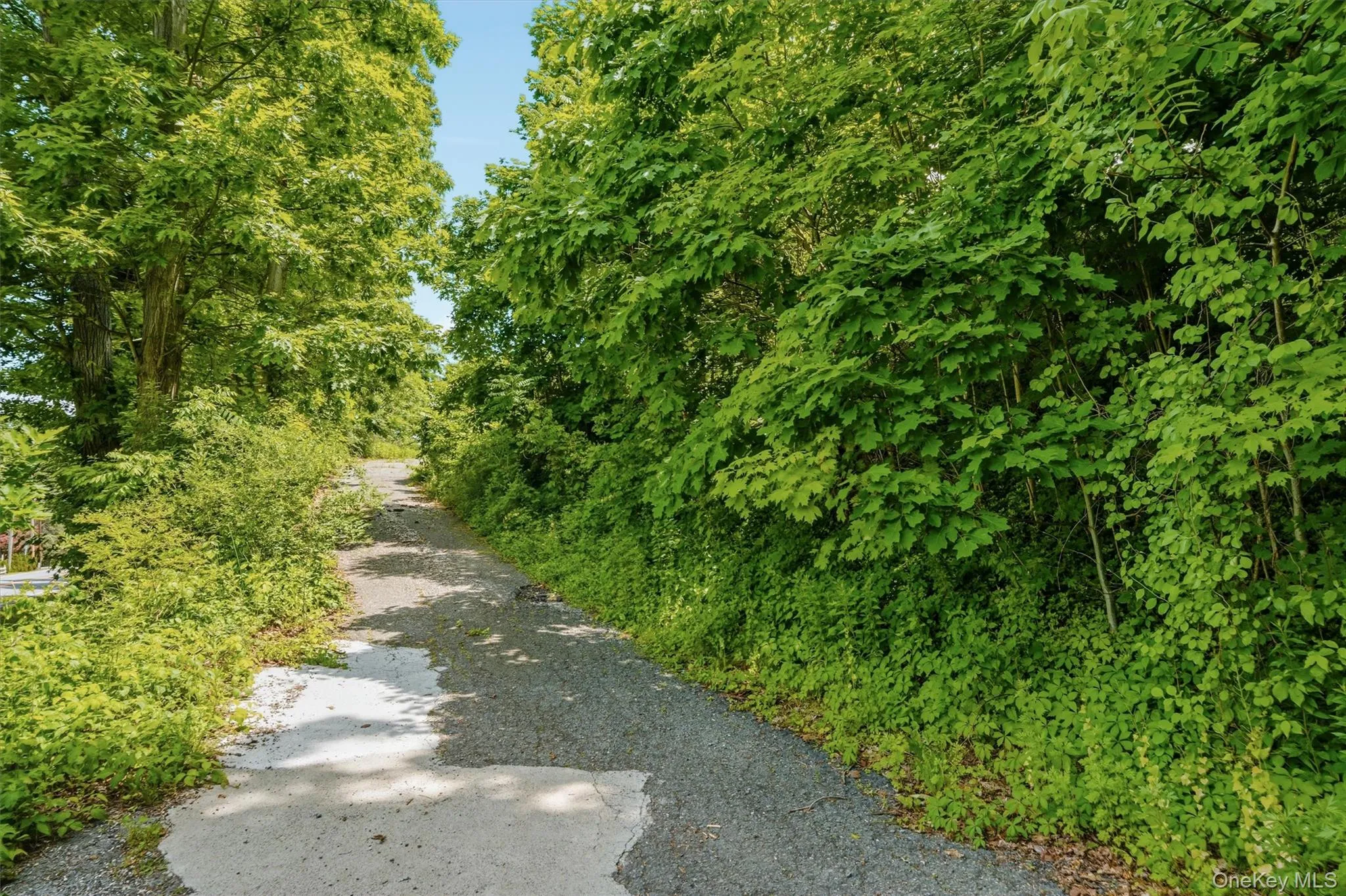 Long, private driveway Long, private driveway