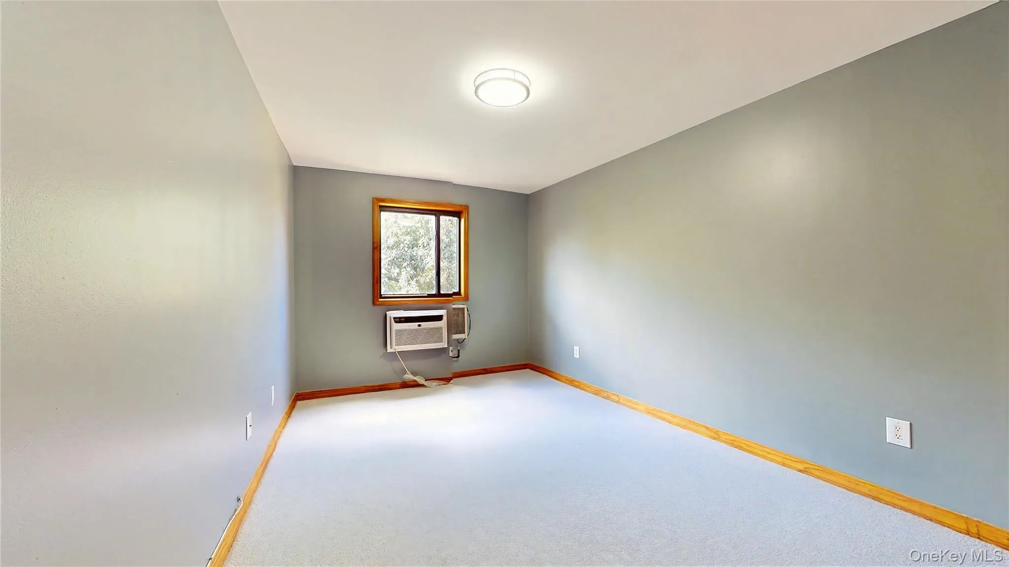 5745 74th Street, New York, NY, 1 Bedroom Bedrooms, 4 Rooms Rooms,1 BathroomBathrooms,Residential,For Rent,74th,0,1012350 5745 74th Street, New York, NY, 1 Bedroom Bedrooms, 4 Rooms Rooms,1 BathroomBathrooms,Residential,For Rent,74th,0,1012350