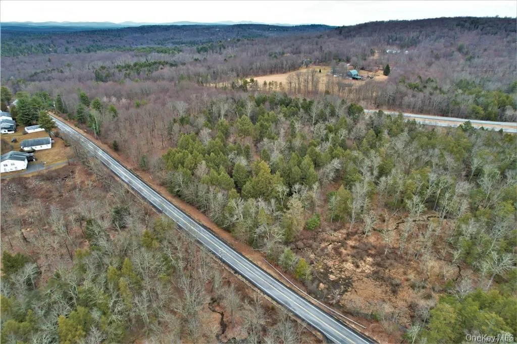 Lot 5.4 Kaufman Road, Thompson, NY, ,Land,For Rent,Kaufman,0,1012362 Lot 5.4 Kaufman Road, Thompson, NY, ,Land,For Rent,Kaufman,0,1012362