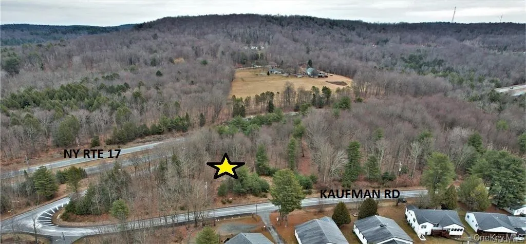 Lot 5.4 Kaufman Road, Thompson, NY, ,Land,For Rent,Kaufman,0,1012362 Lot 5.4 Kaufman Road, Thompson, NY, ,Land,For Rent,Kaufman,0,1012362
